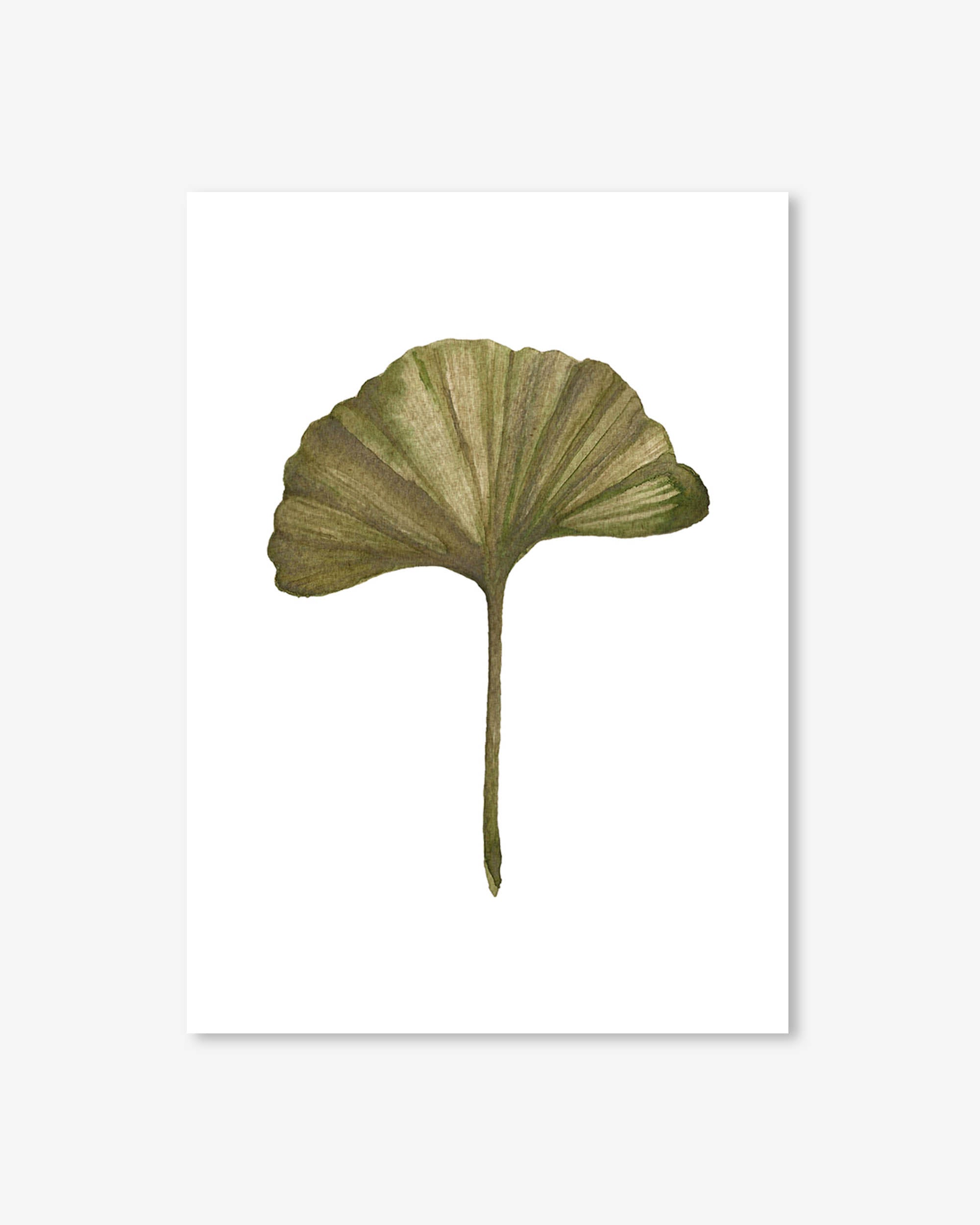 Watercolour Ginkgo Leaf Art Print