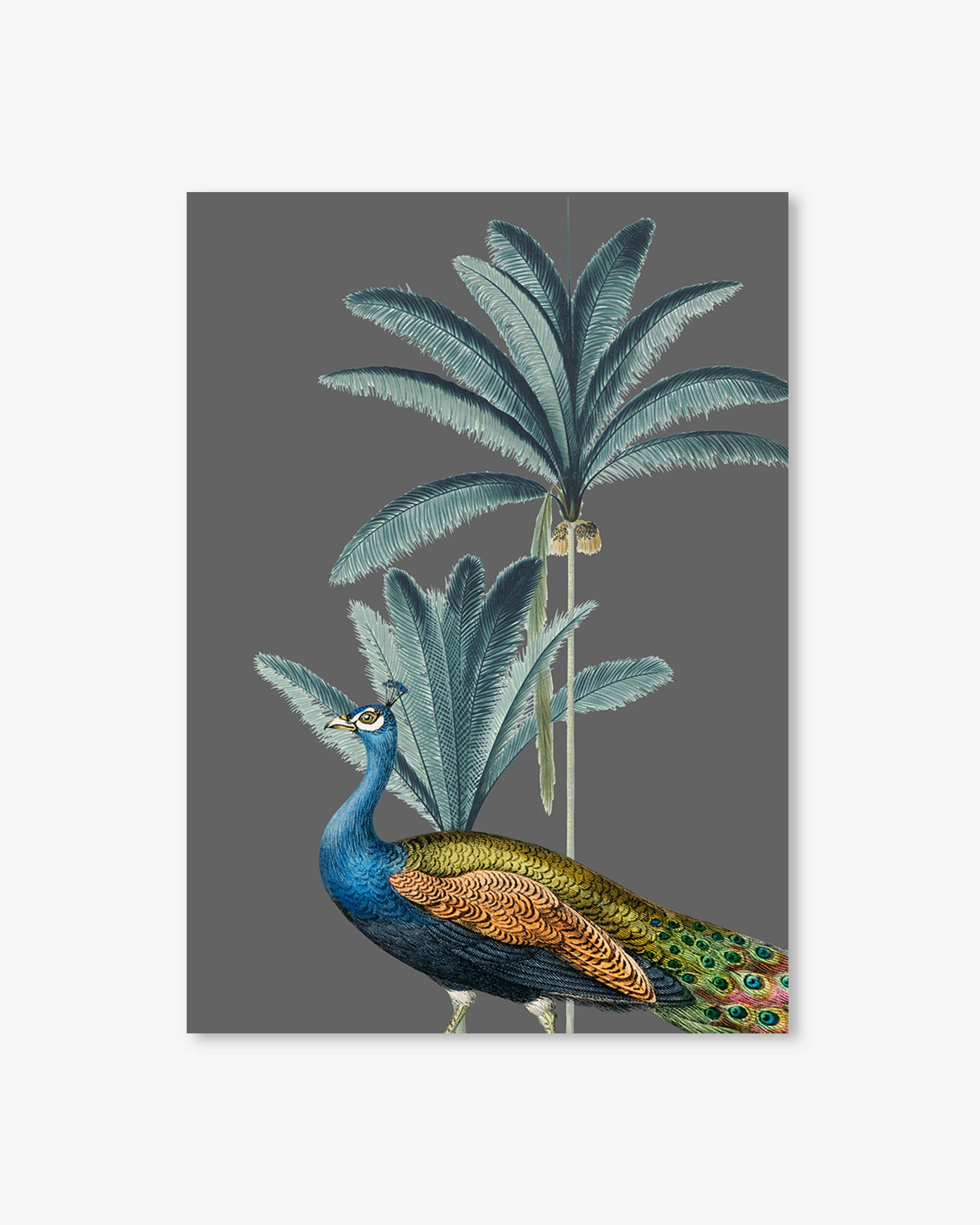 Decorative panel with a peacock and palm trees on a gray background