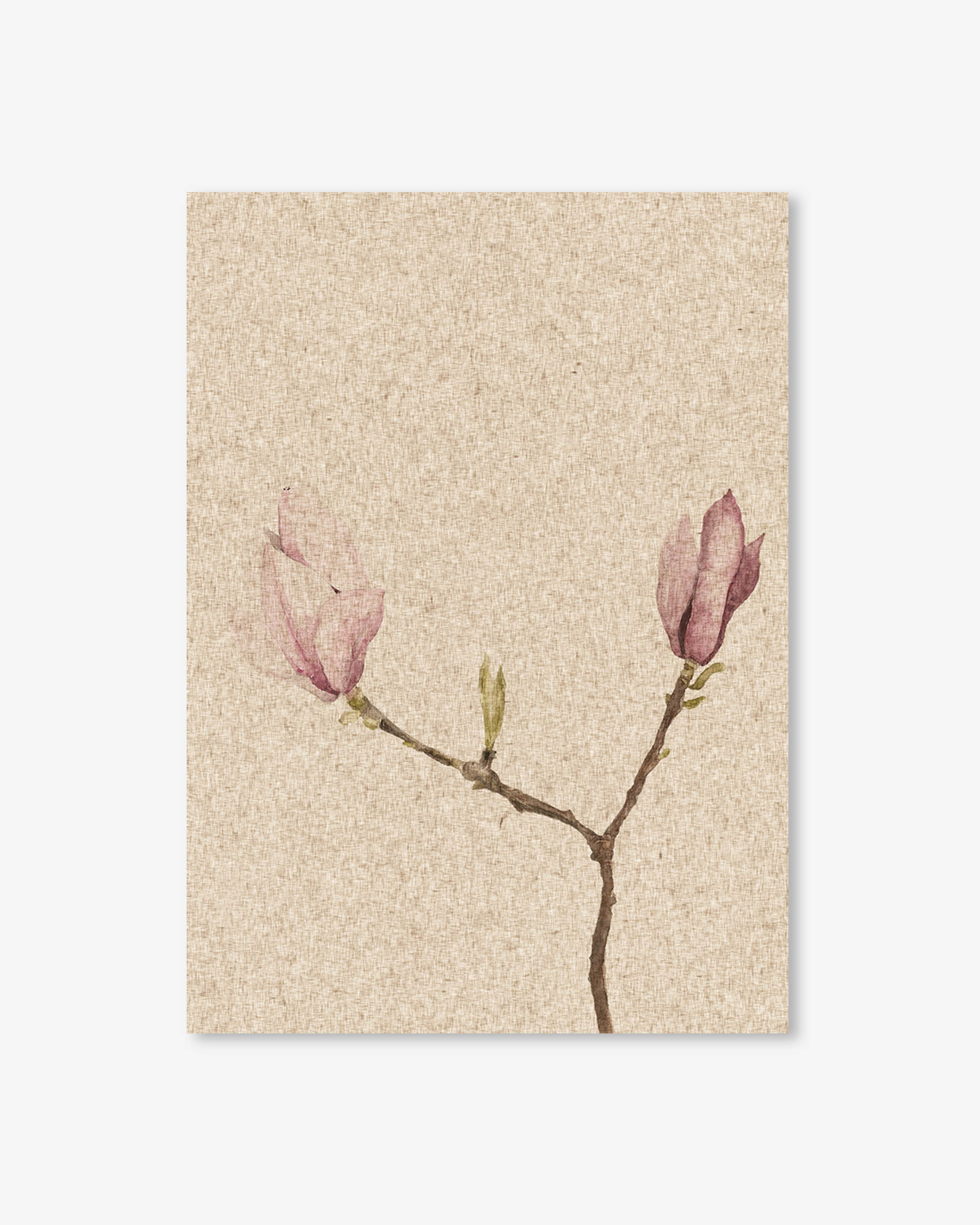 Vintage Rose Art Print