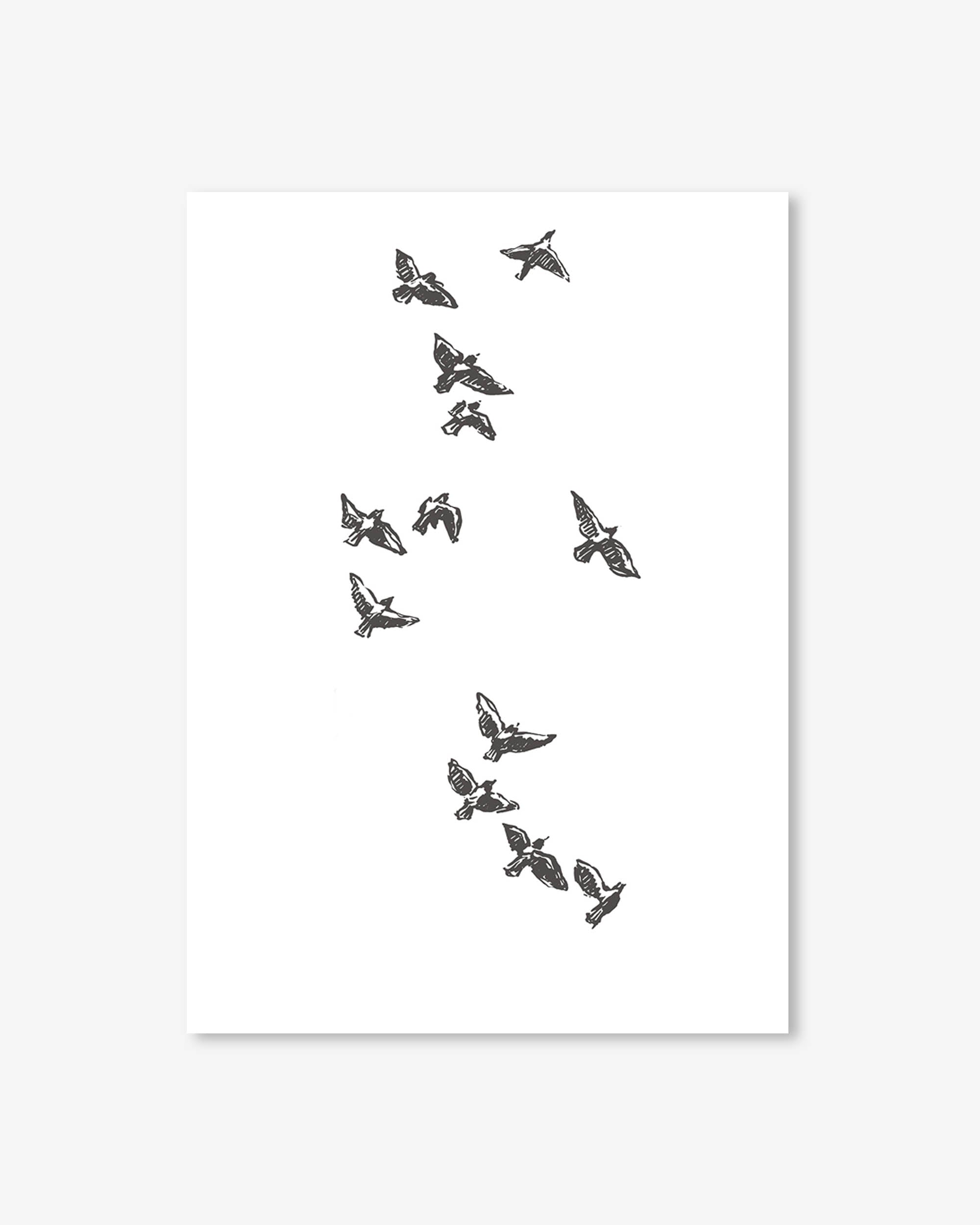 Black and white illustrations of birds on a white background