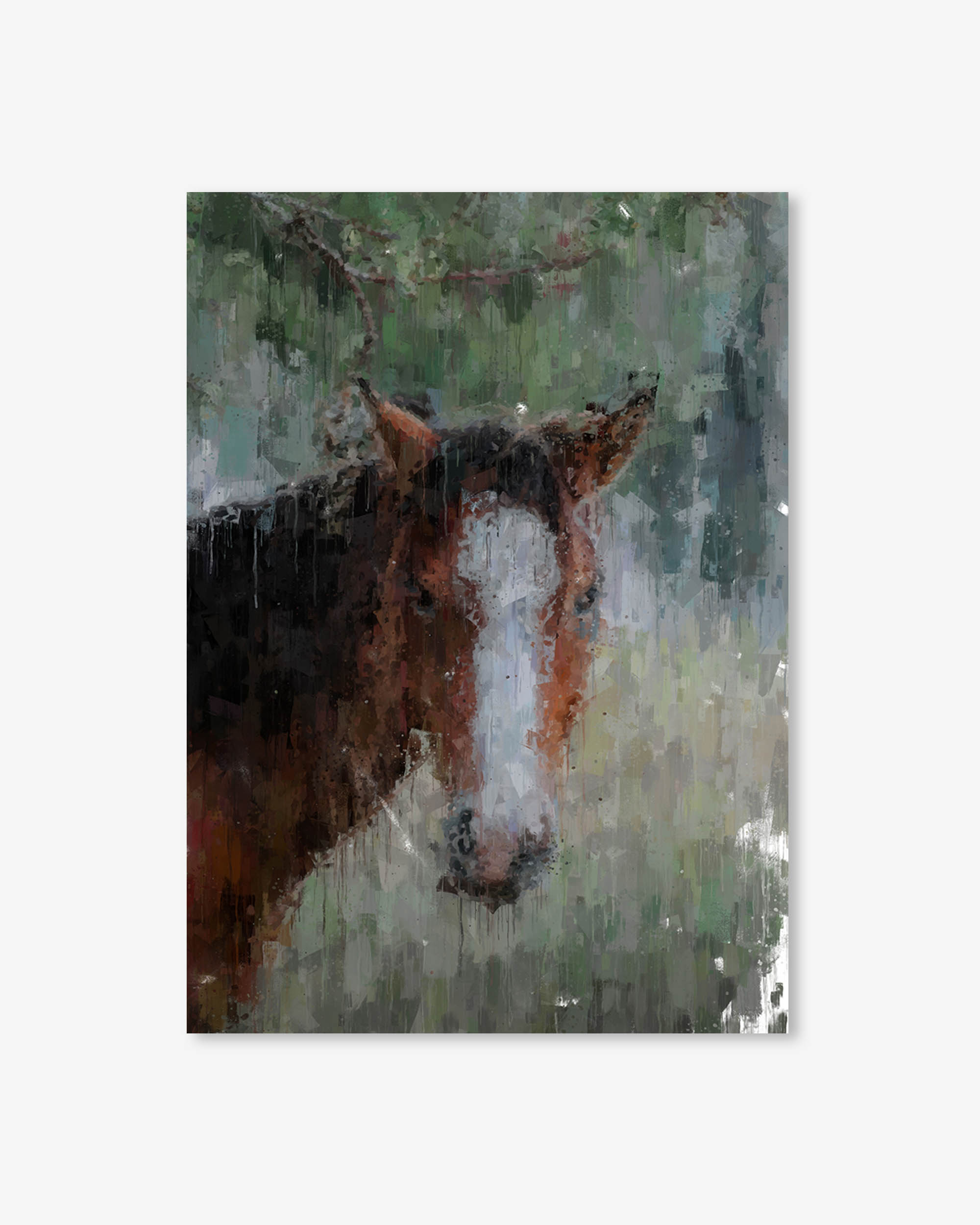 Horse Art Print