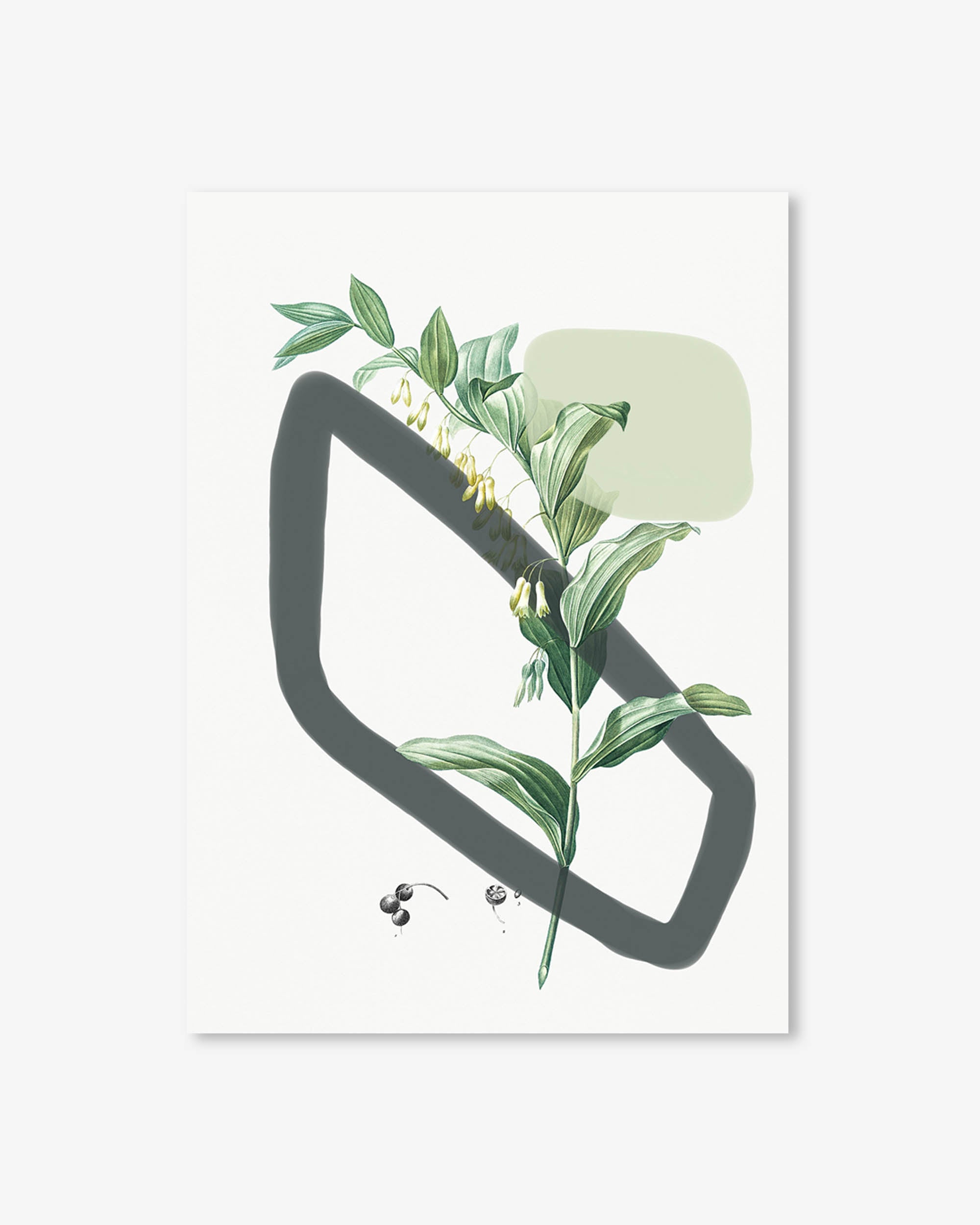 Vintage Plant With Shapes Art Print