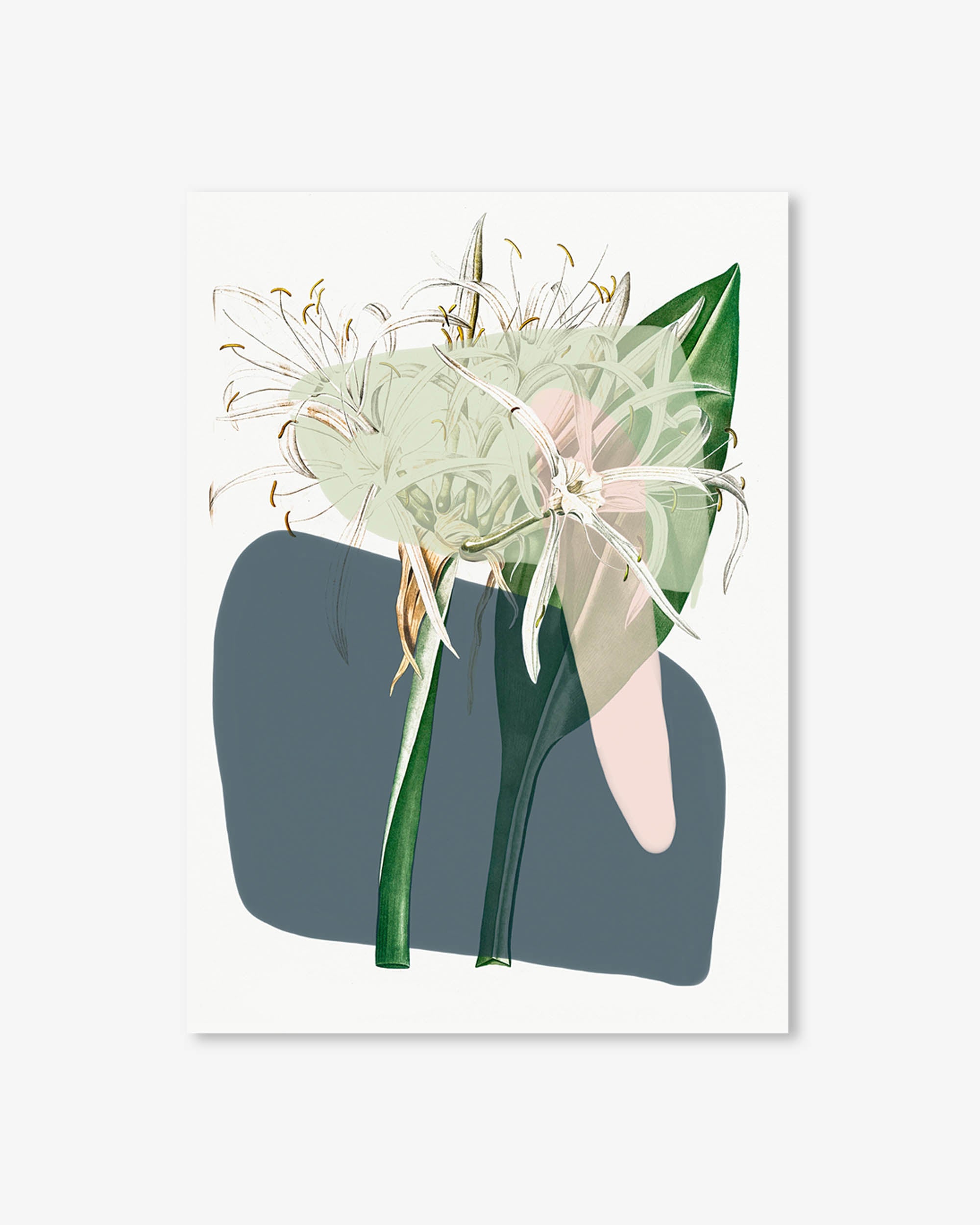 Botanical Vintage Spring Meadow Art Print