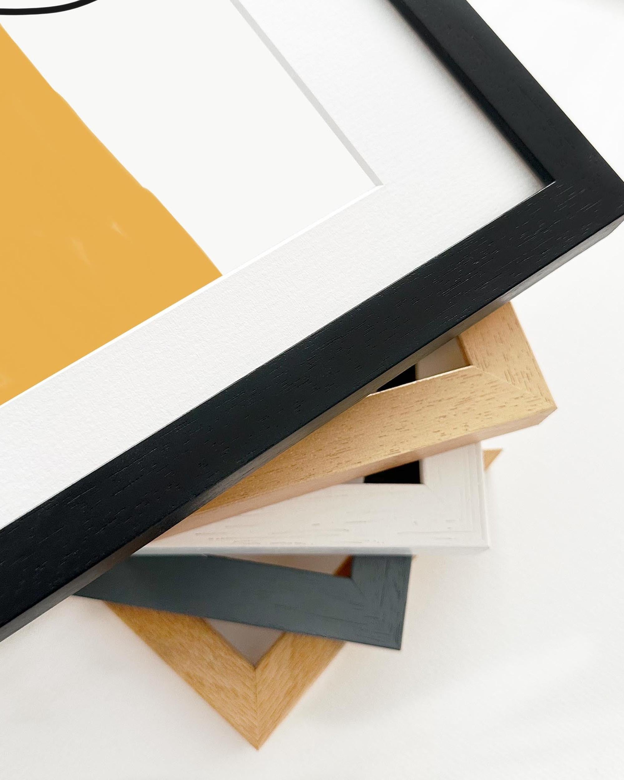 Collection of various photo frames with different colors and designs on a white background