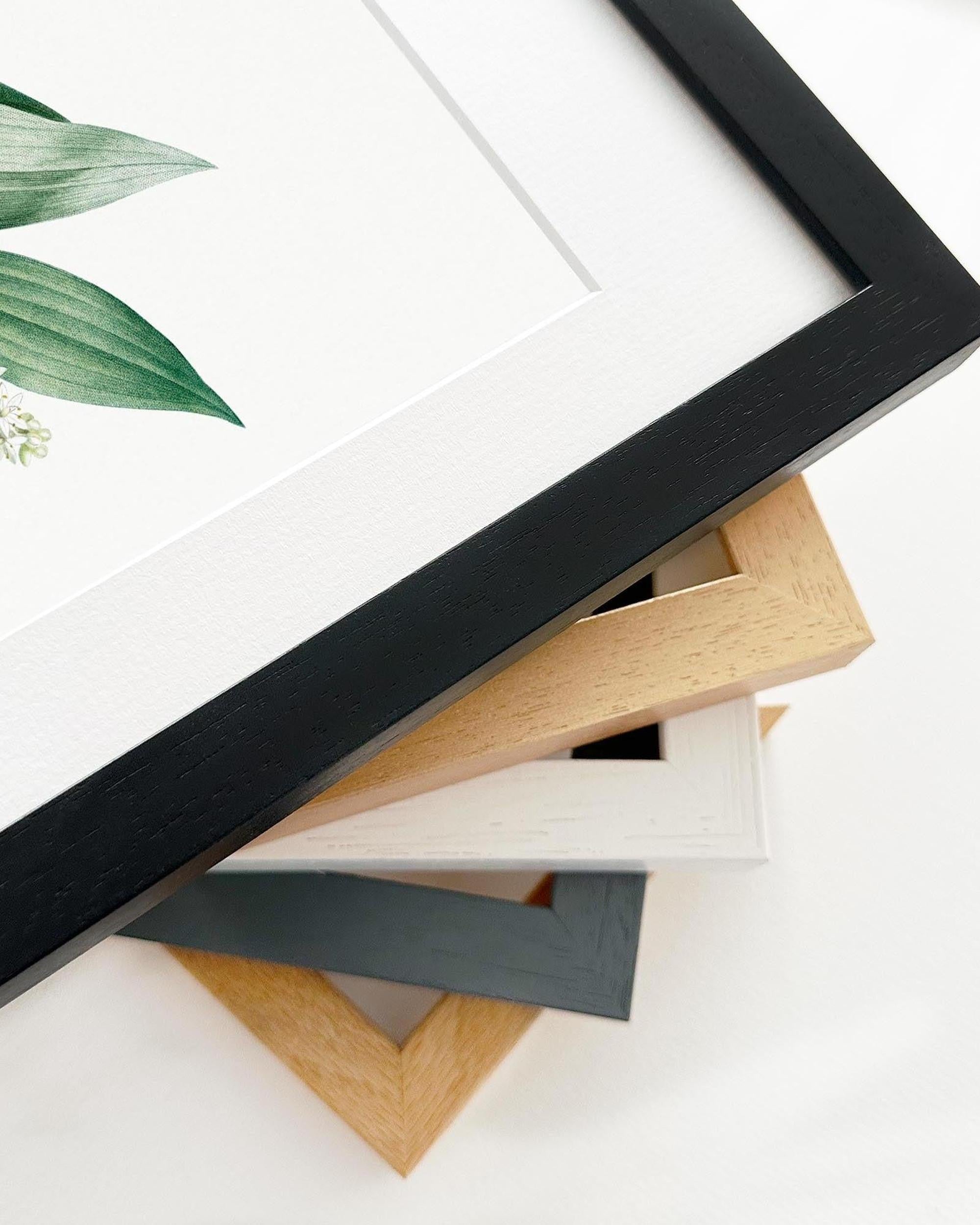 Botanical Leaf With Abstract Shapes Art Print