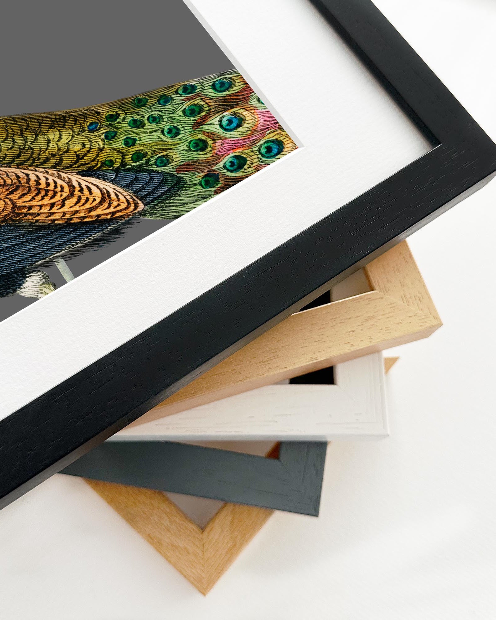 Framed artwork with peacock feathers on a white surface