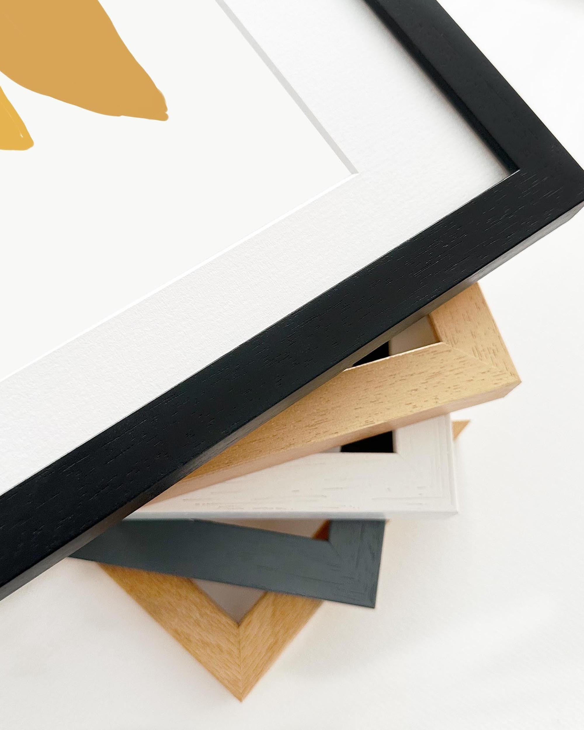 Collection of variously colored picture frames on a white background
