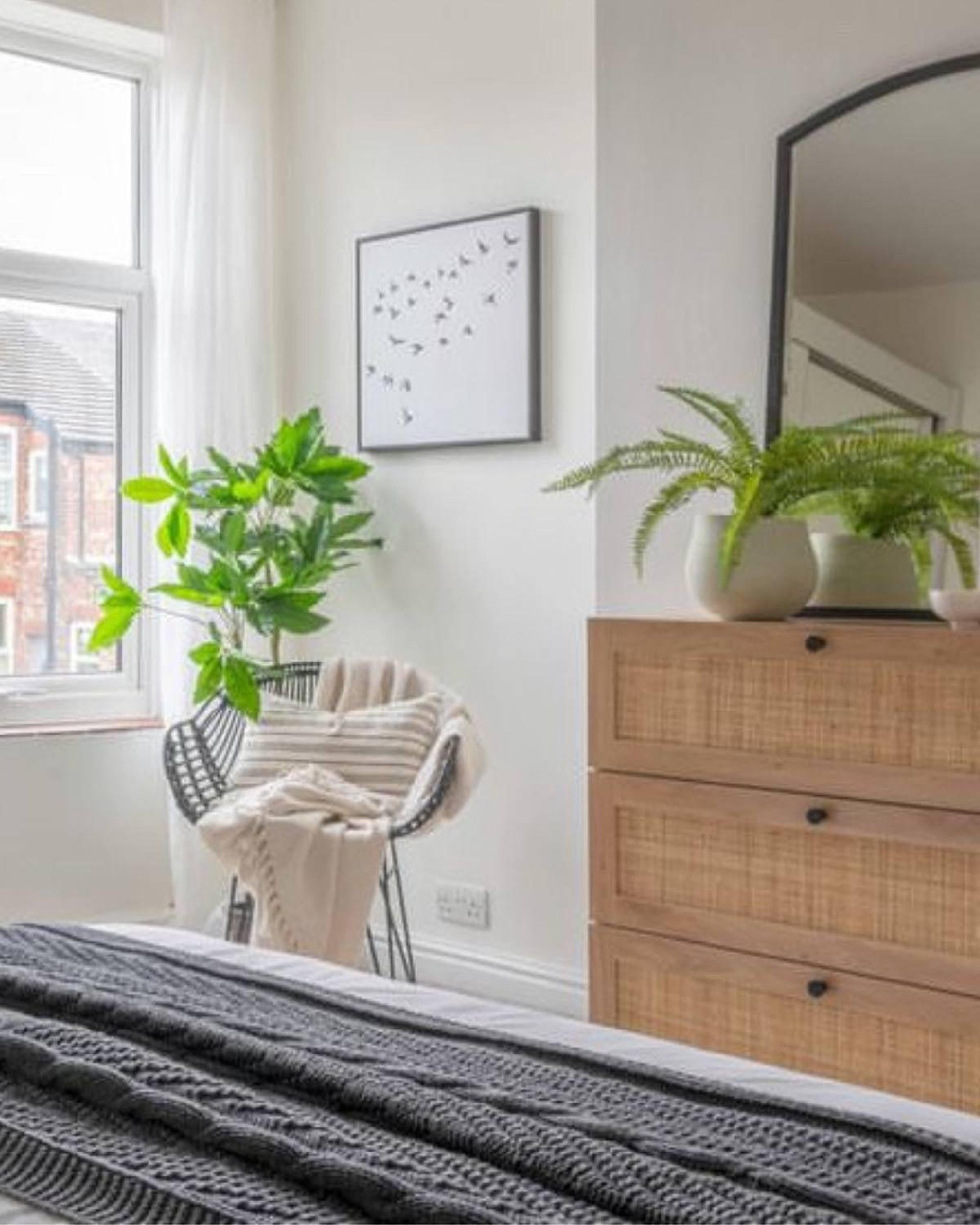Room interior with a bed, wooden dresser, chair, and plants.