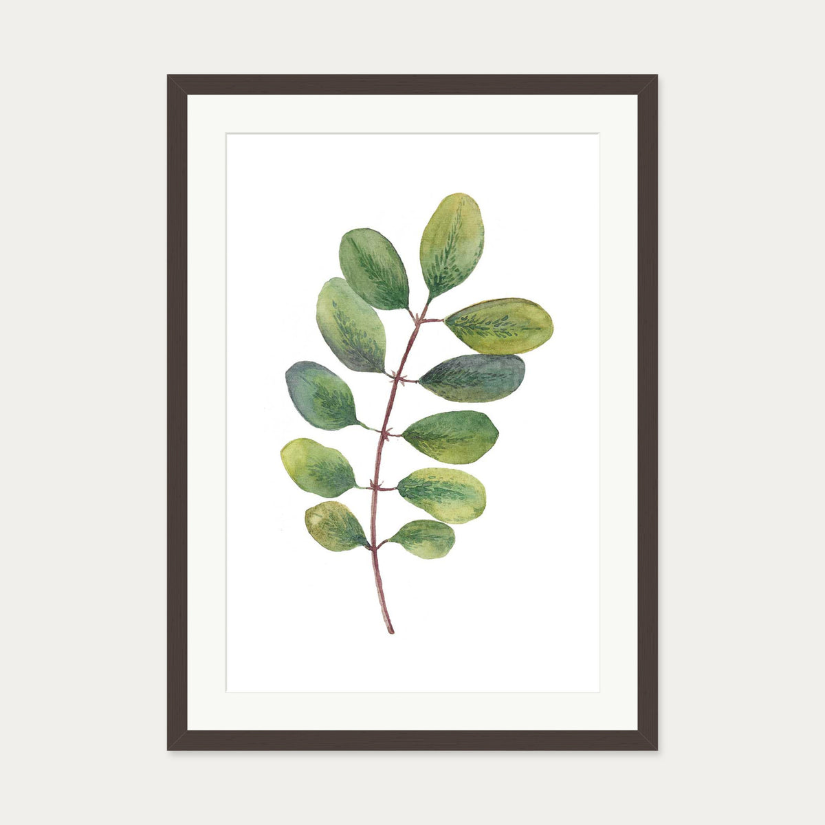 Acacia Watercolour Leaf Art Print — 50 x 70 cm — Brown Frame