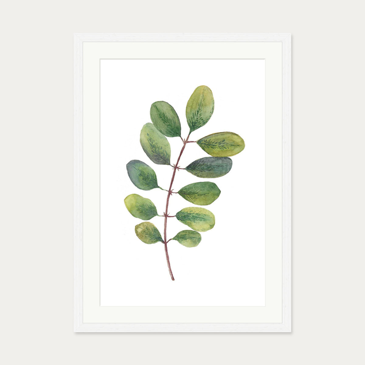 Acacia Watercolour Leaf Art Print — 50 x 70 cm — White Frame