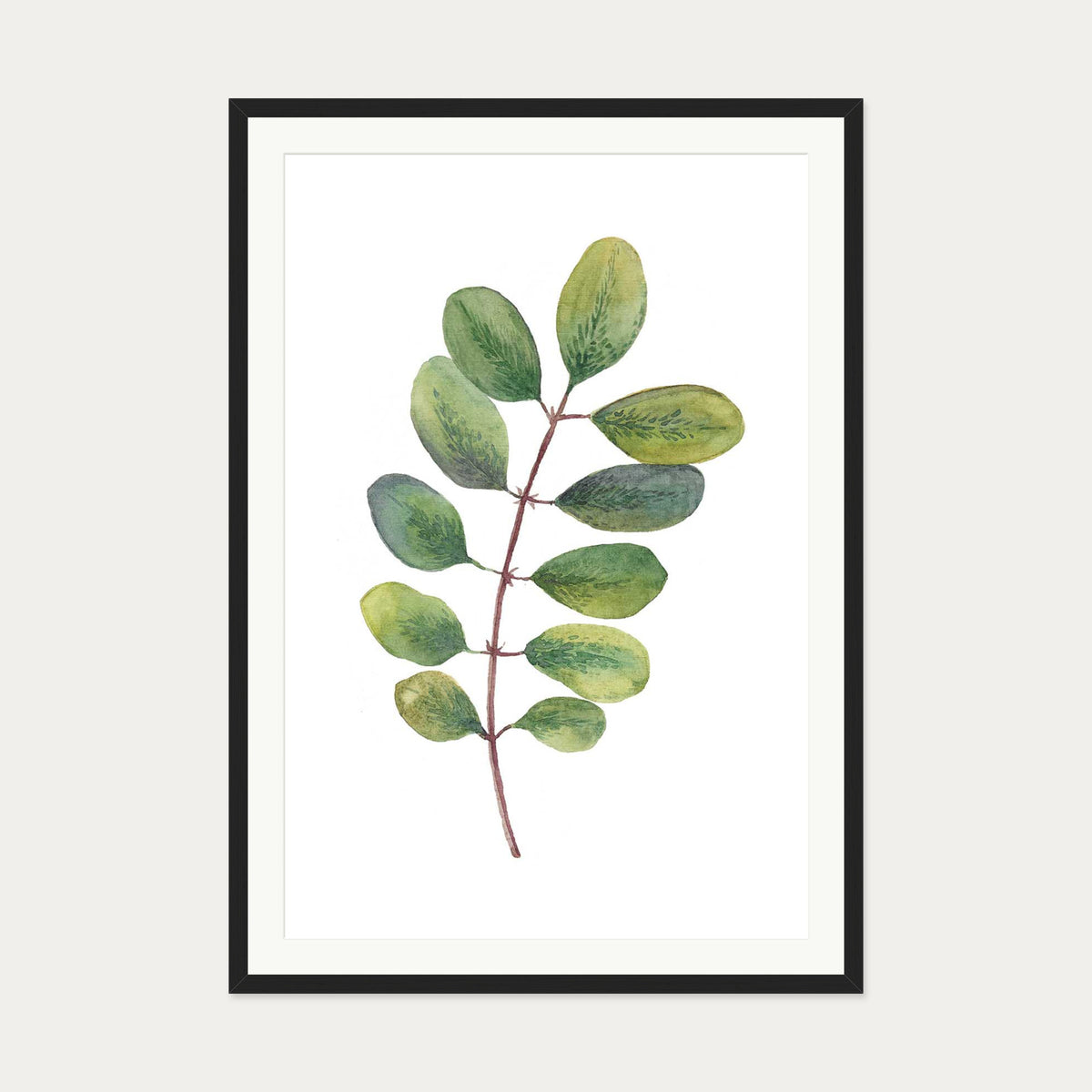 Acacia Watercolour Leaf Art Print — 70 x 100 cm — Black Frame