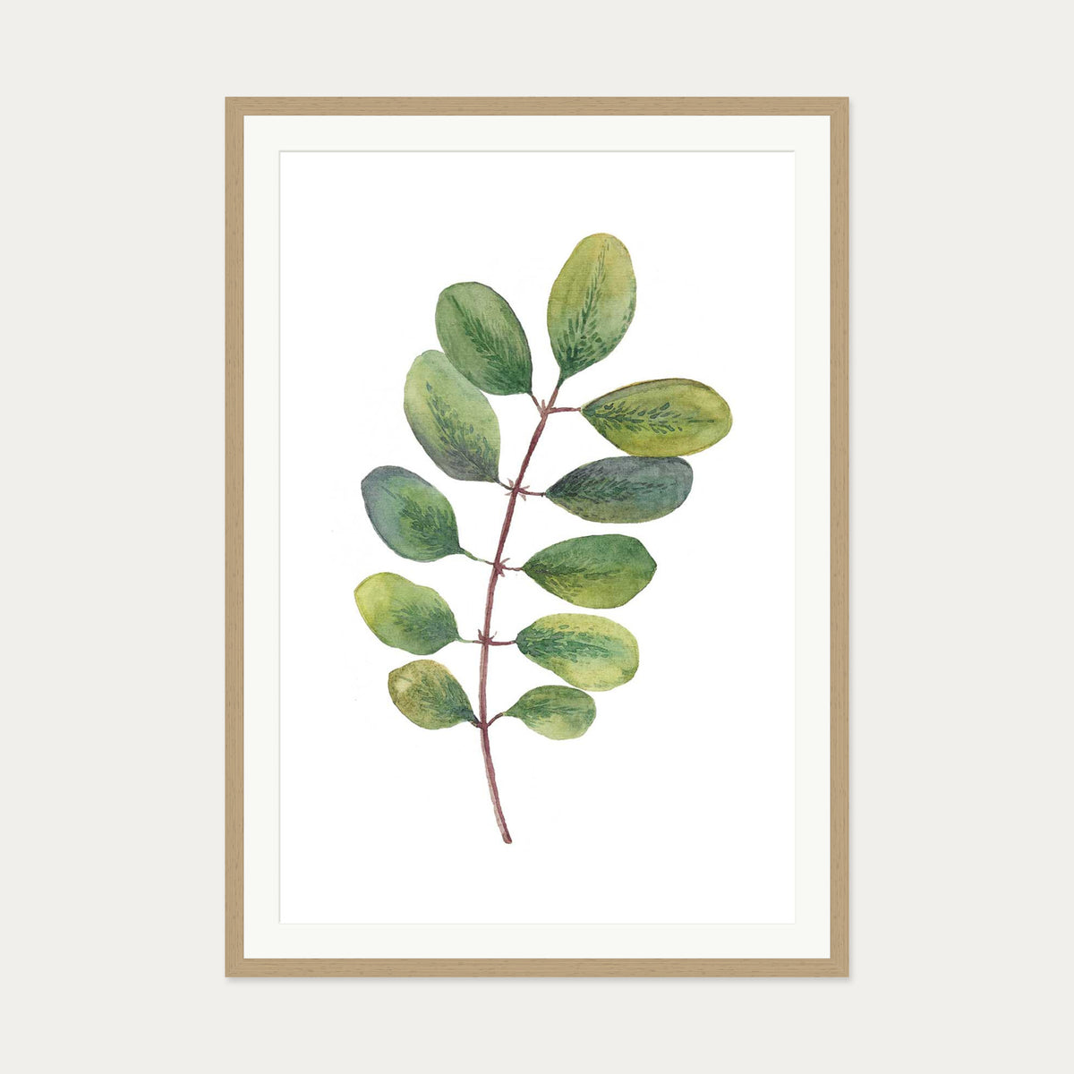 Acacia Watercolour Leaf Art Print — 70 x 100 cm — Oak Frame