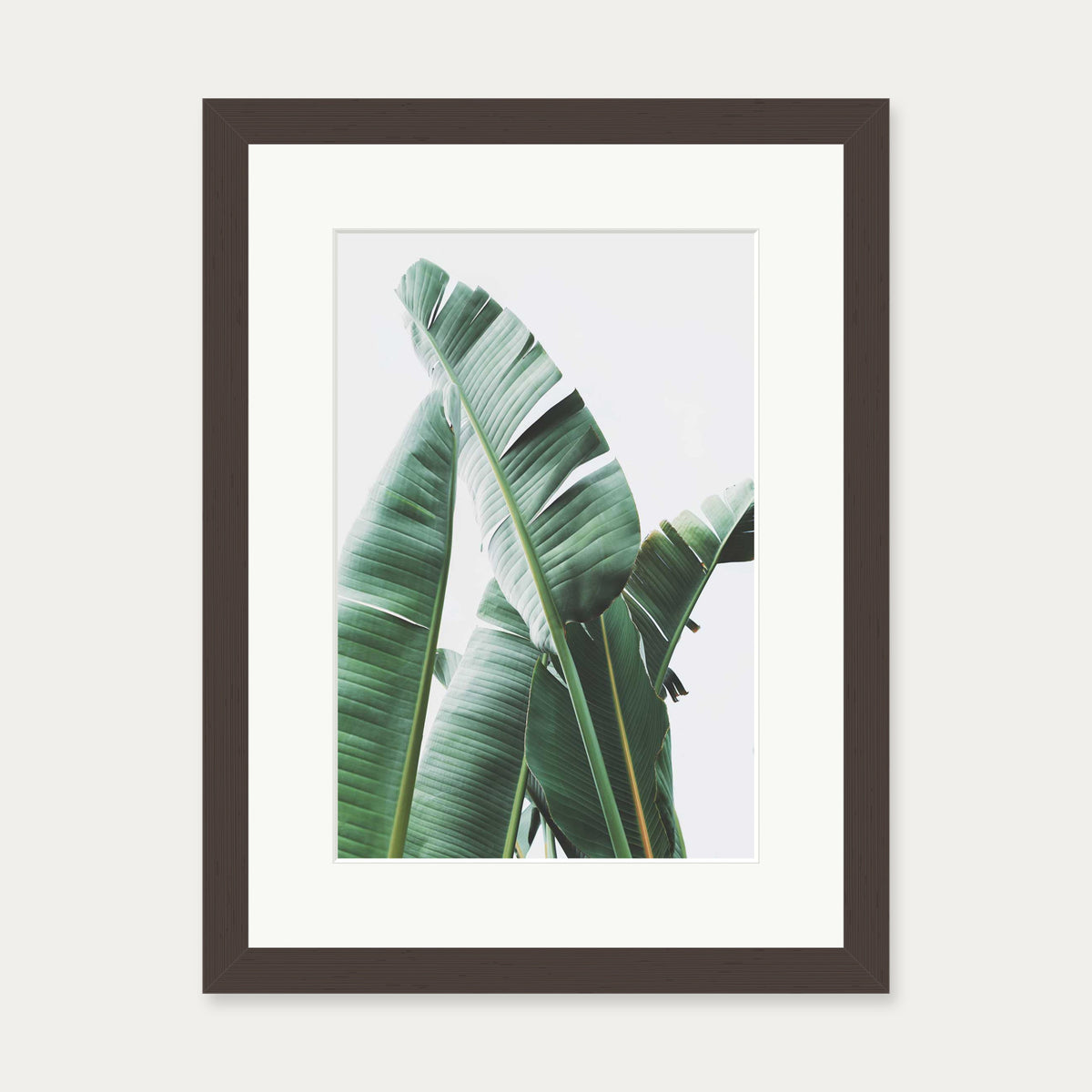 Banana Leaf Wall Art Print — 30 x 40 cm — Brown Frame