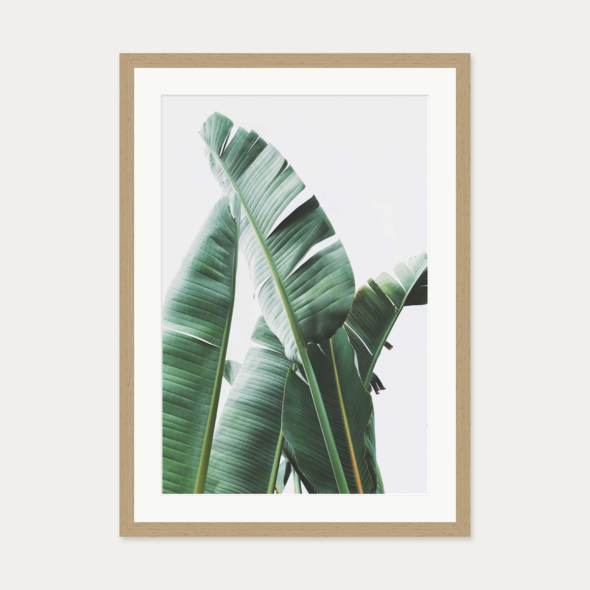 Banana Leaf Wall Art Print — 50 x 70 cm — Oak Frame