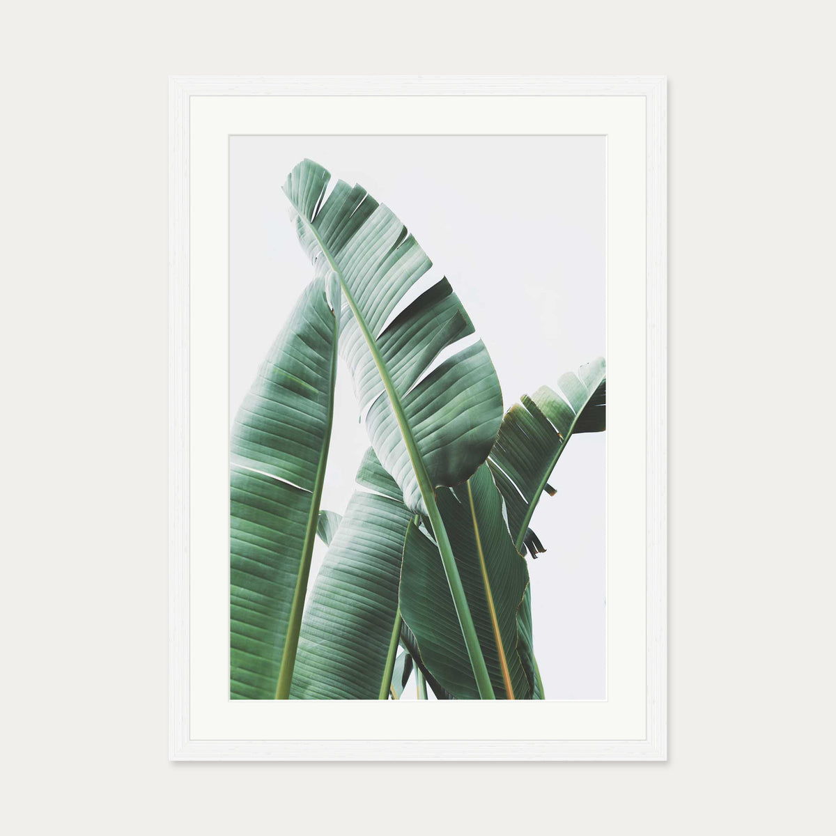 Banana Leaf Wall Art Print — 50 x 70 cm — White Frame