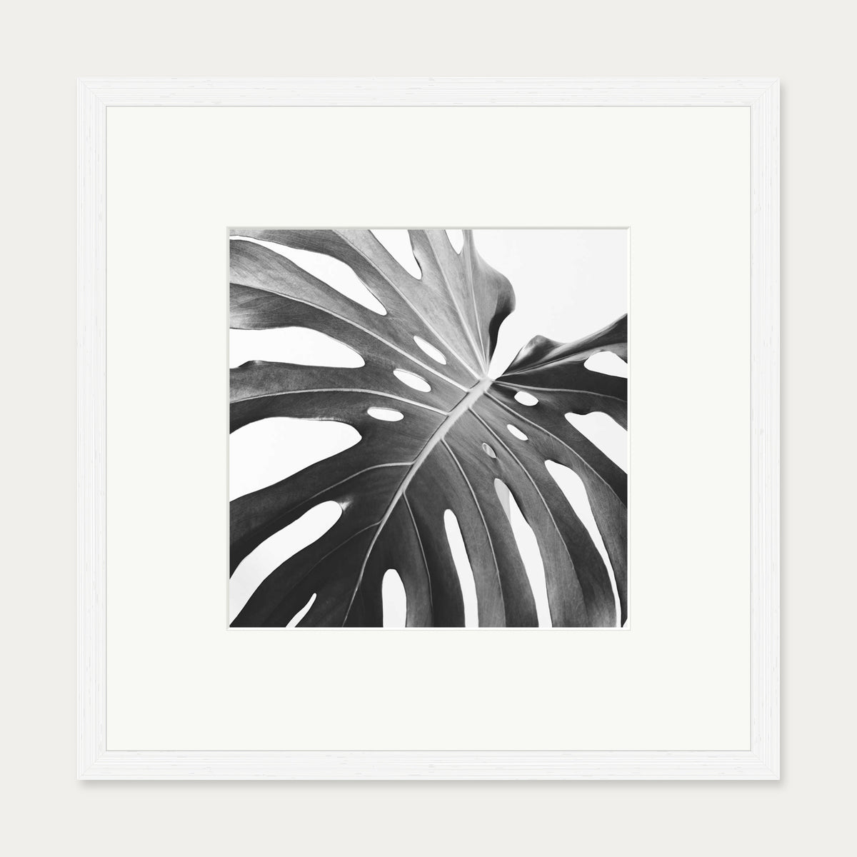 Black And White Monstera Wall Art Print — 50 x 50 cm — White Frame