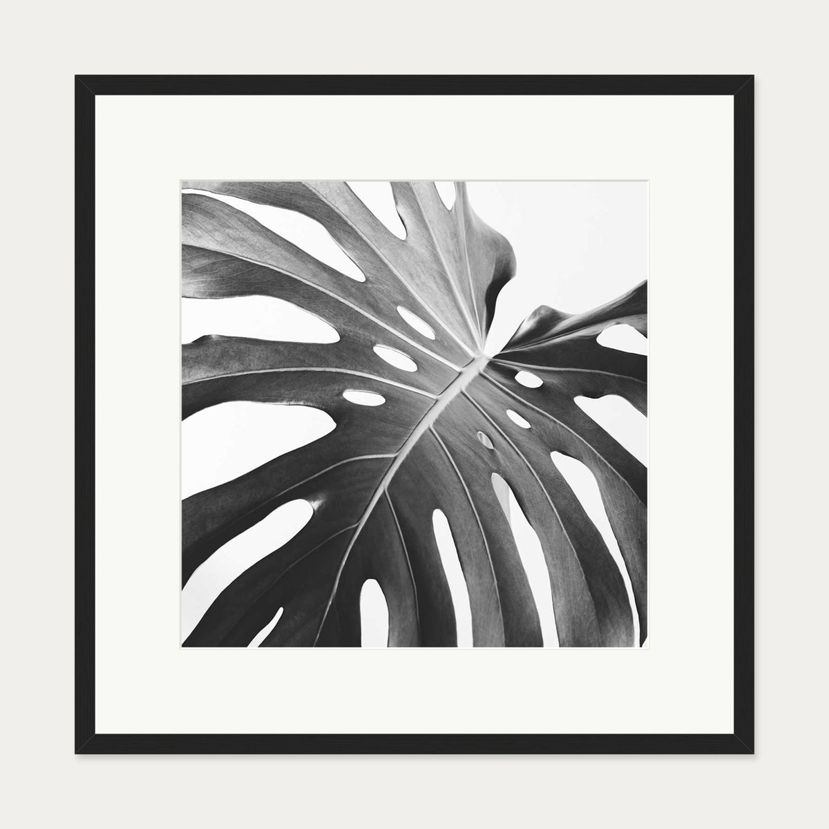 Black And White Monstera Wall Art Print — 70 x 70 cm — Black Frame