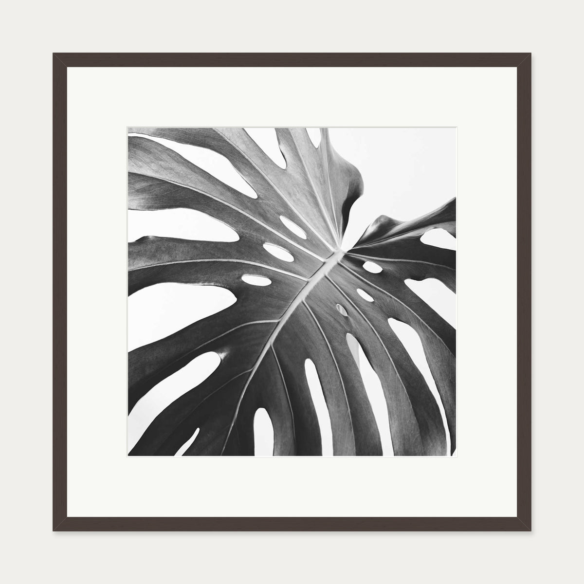 Black And White Monstera Wall Art Print — 70 x 70 cm — Brown Frame