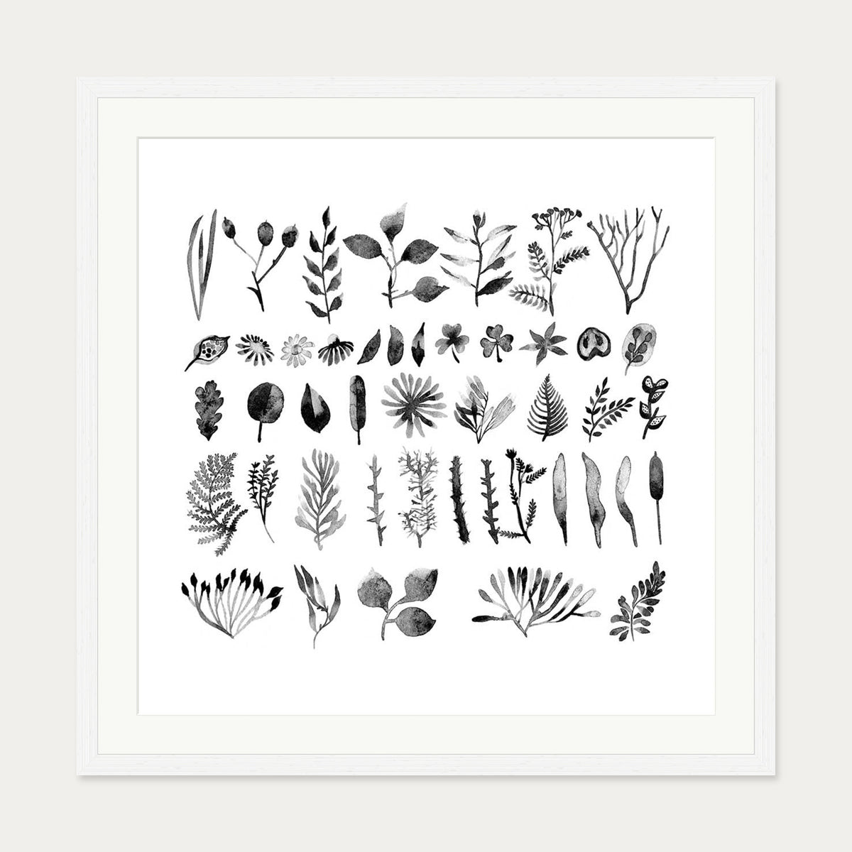 Black And White Watercolour Leaves Art Print — 70 x 70 cm — White Frame