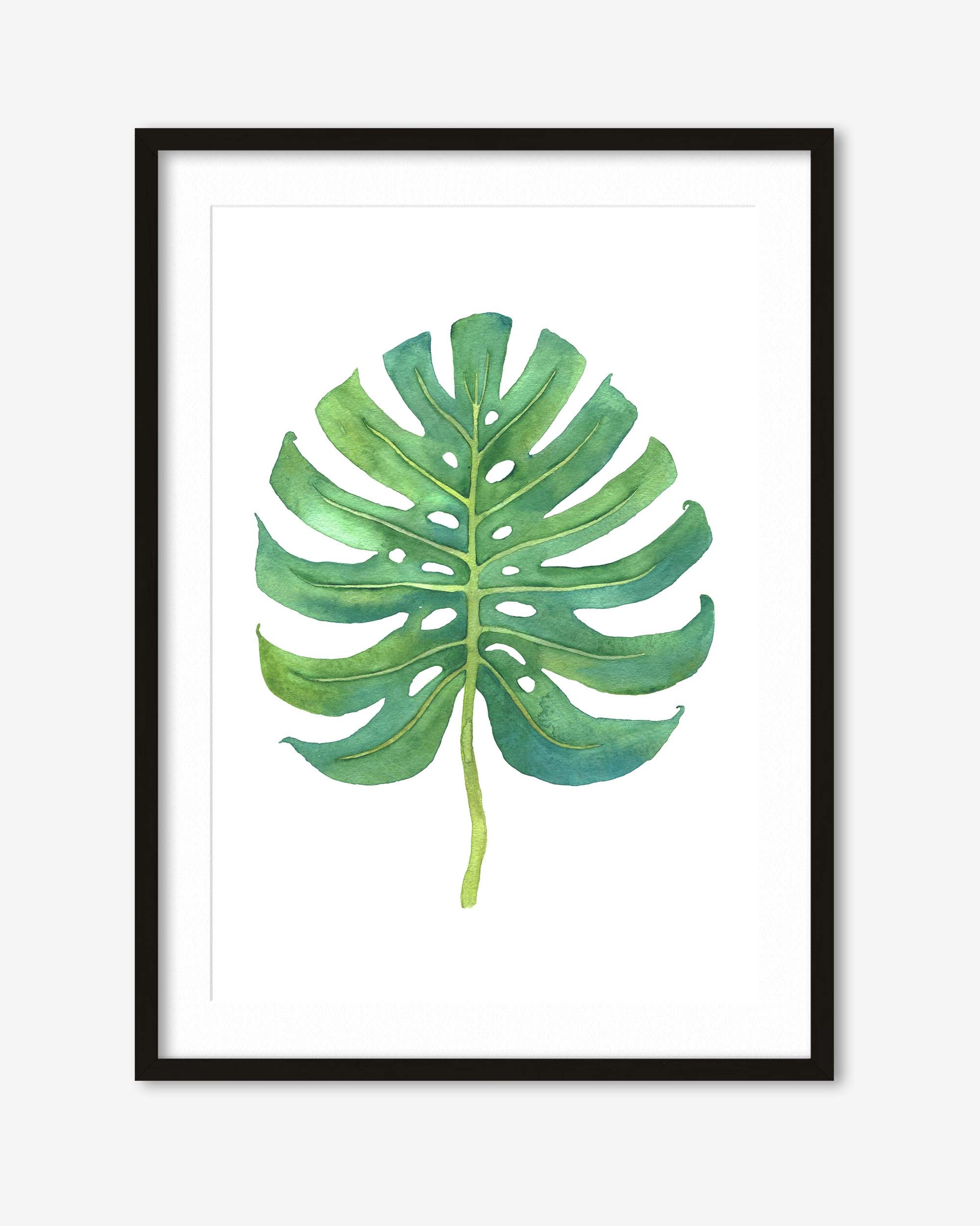 monstera leaf framed in a black frame