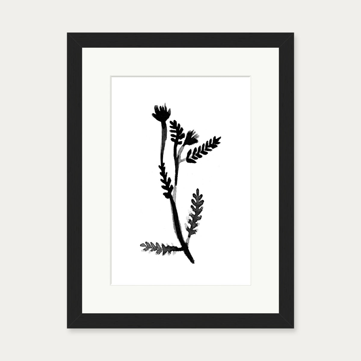 Black & White Botanical Watercolour Art Print — 30 x 40 cm — Black Frame
