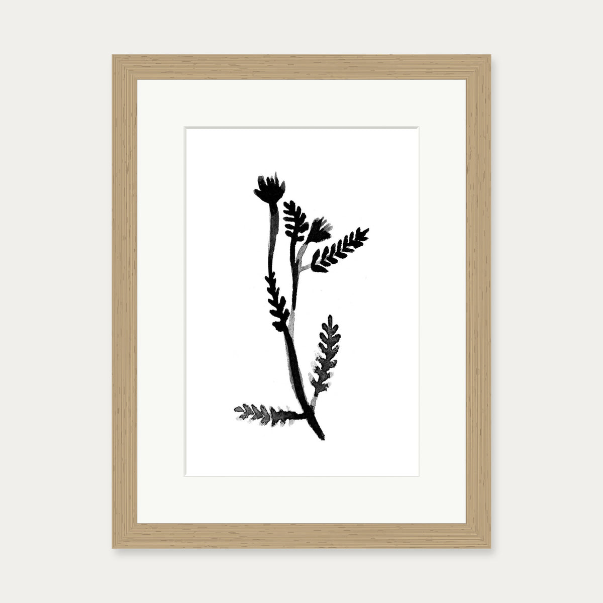 Black & White Botanical Watercolour Art Print — 30 x 40 cm — Oak Frame
