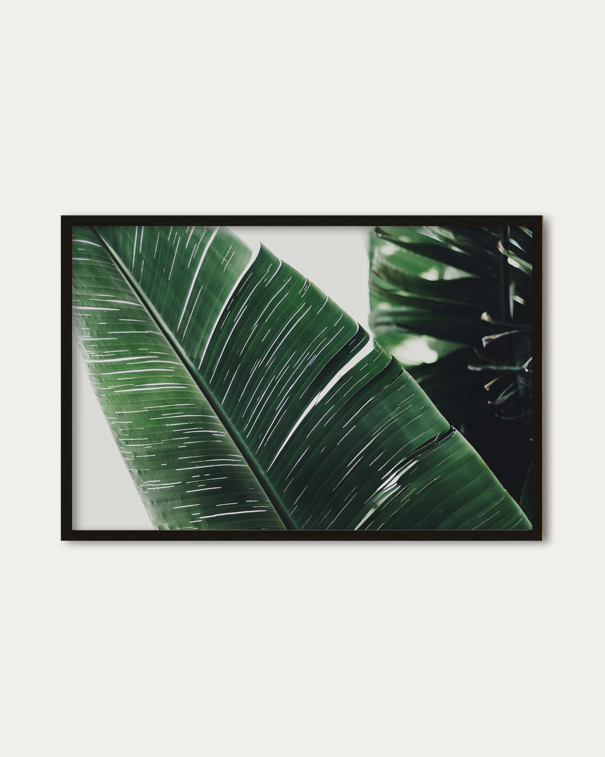 Botanical Leaf Poster