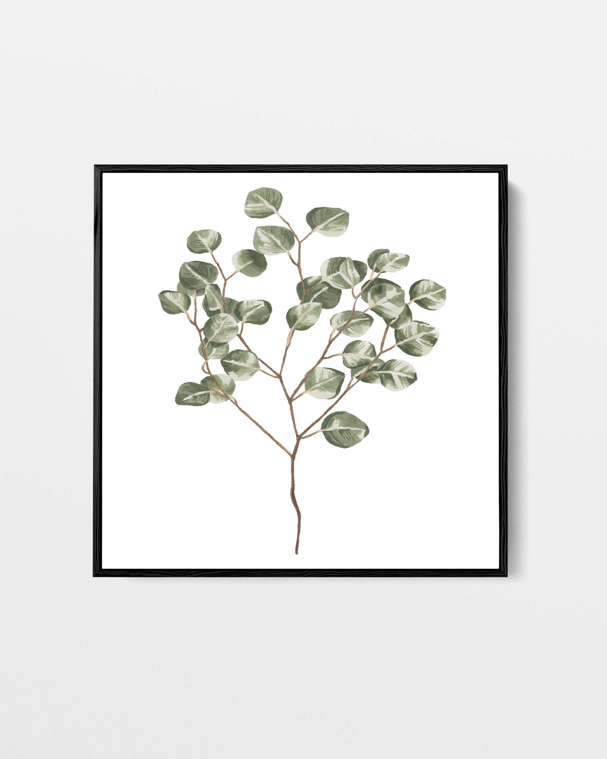 Botanical Branch Square Canvas Art