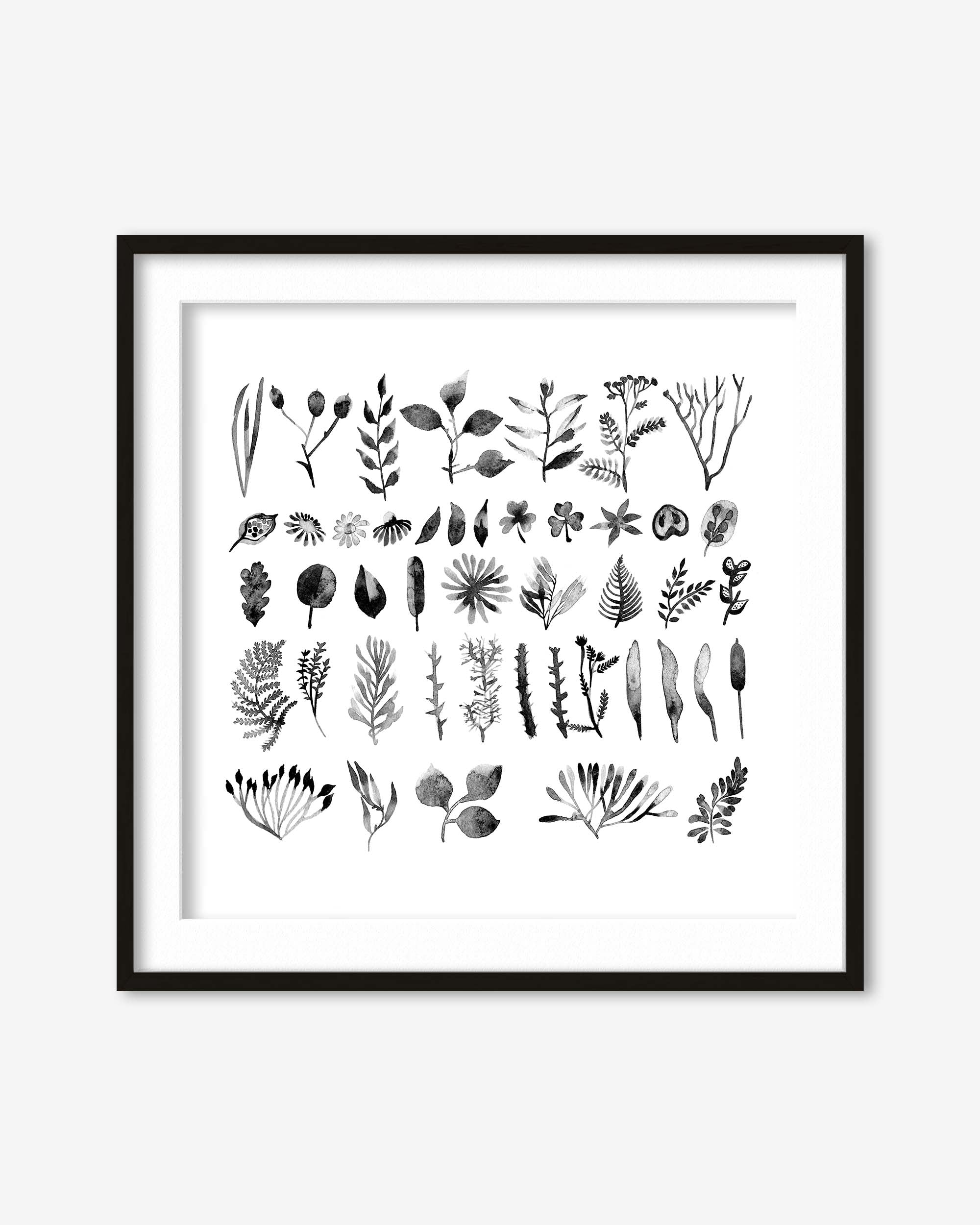 Black And White Watercolour Leaves Art Print