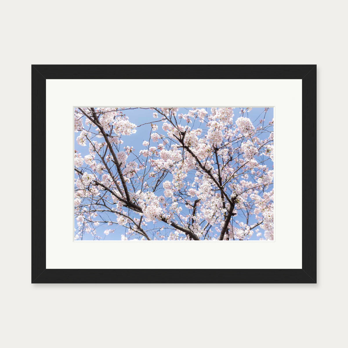 Blossoms Wall Art Print — 30 x 40 cm — Black Frame
