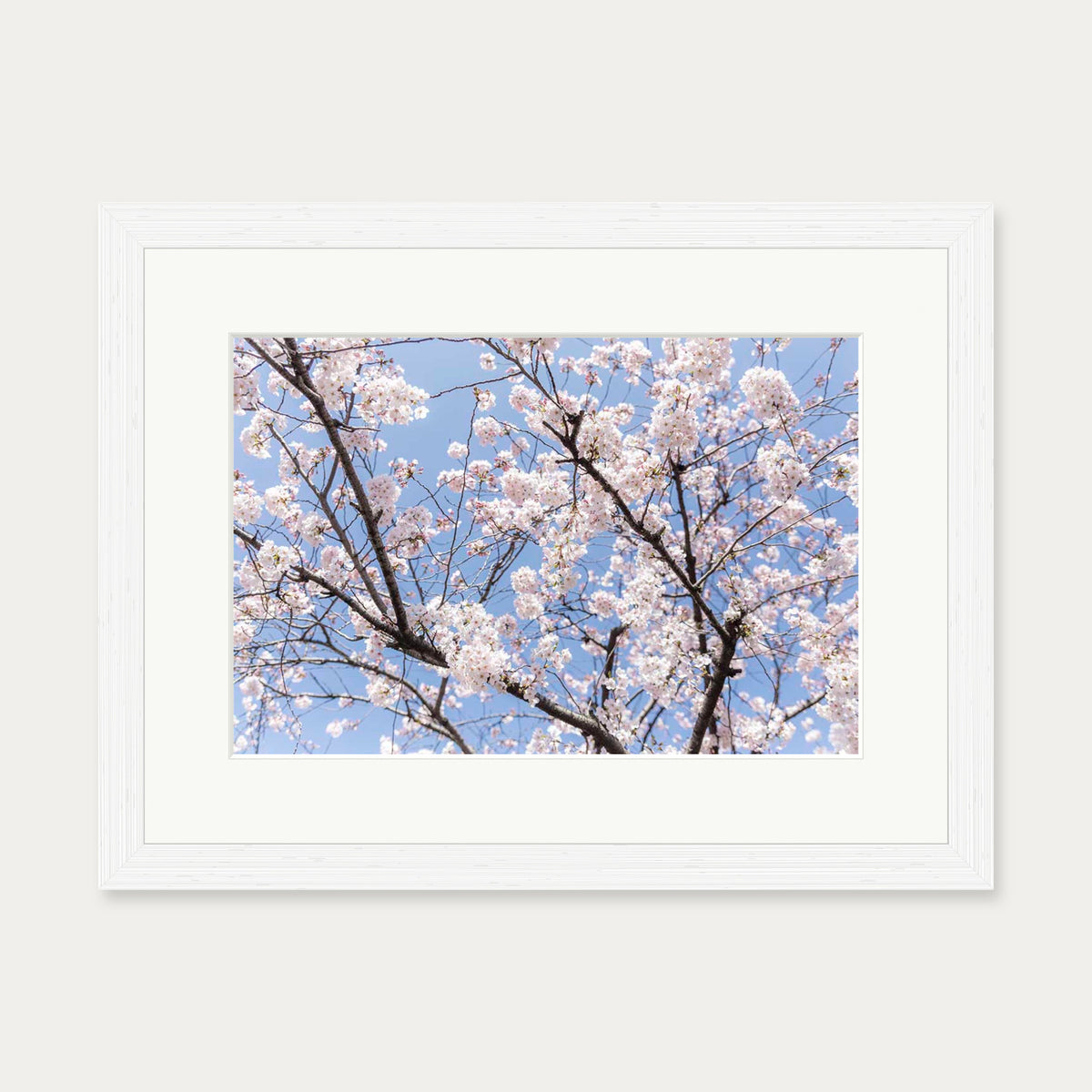 Blossoms Wall Art Print — 30 x 40 cm — White Frame