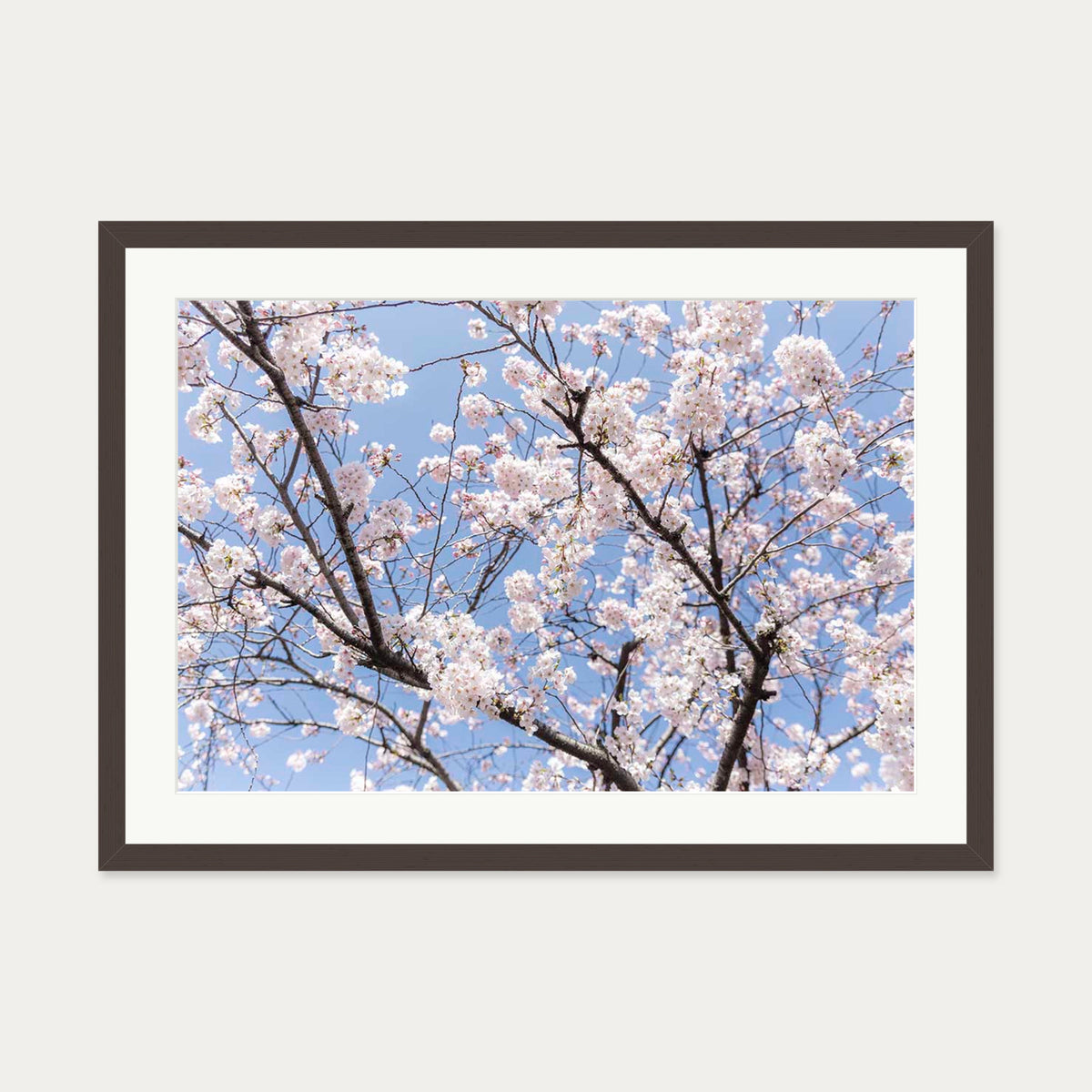 Blossoms Wall Art Print — 50 x 70 cm — Brown Frame
