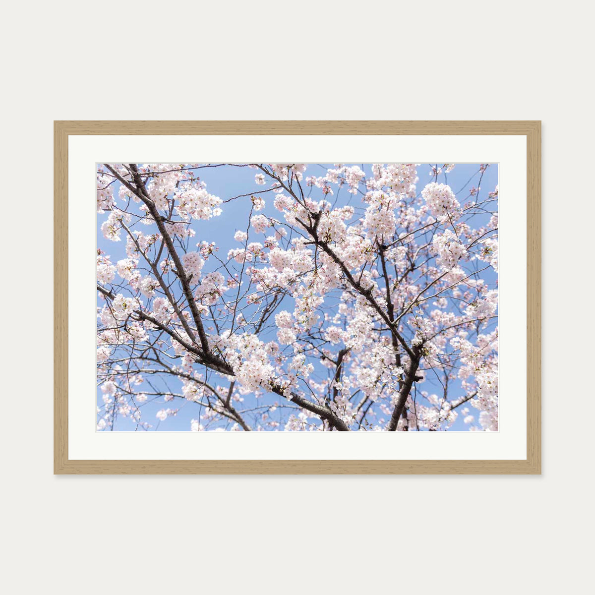 Blossoms Wall Art Print — 50 x 70 cm — Oak Frame
