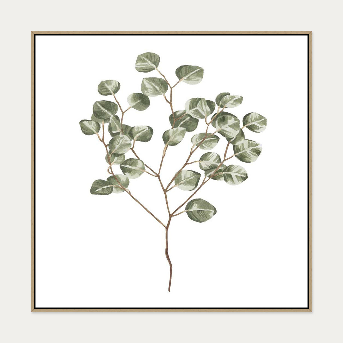 Botanical Branch Square Canvas Art — 100 x 100 cm — Oak Frame