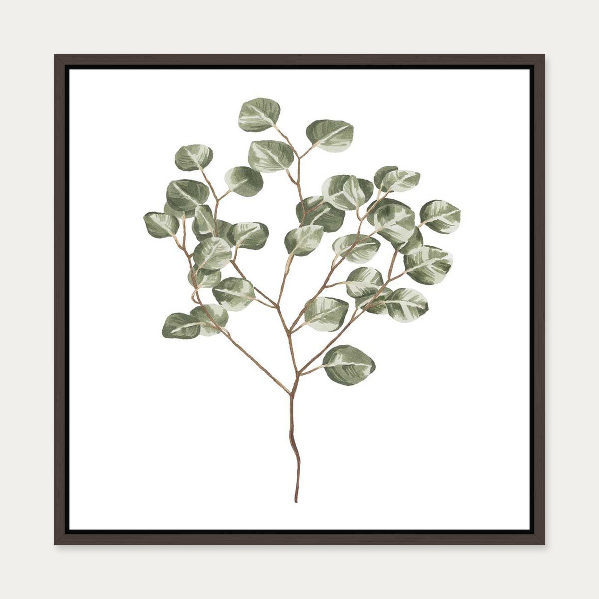 Botanical Branch Square Canvas Art — 50 x 50 cm — Brown Frame
