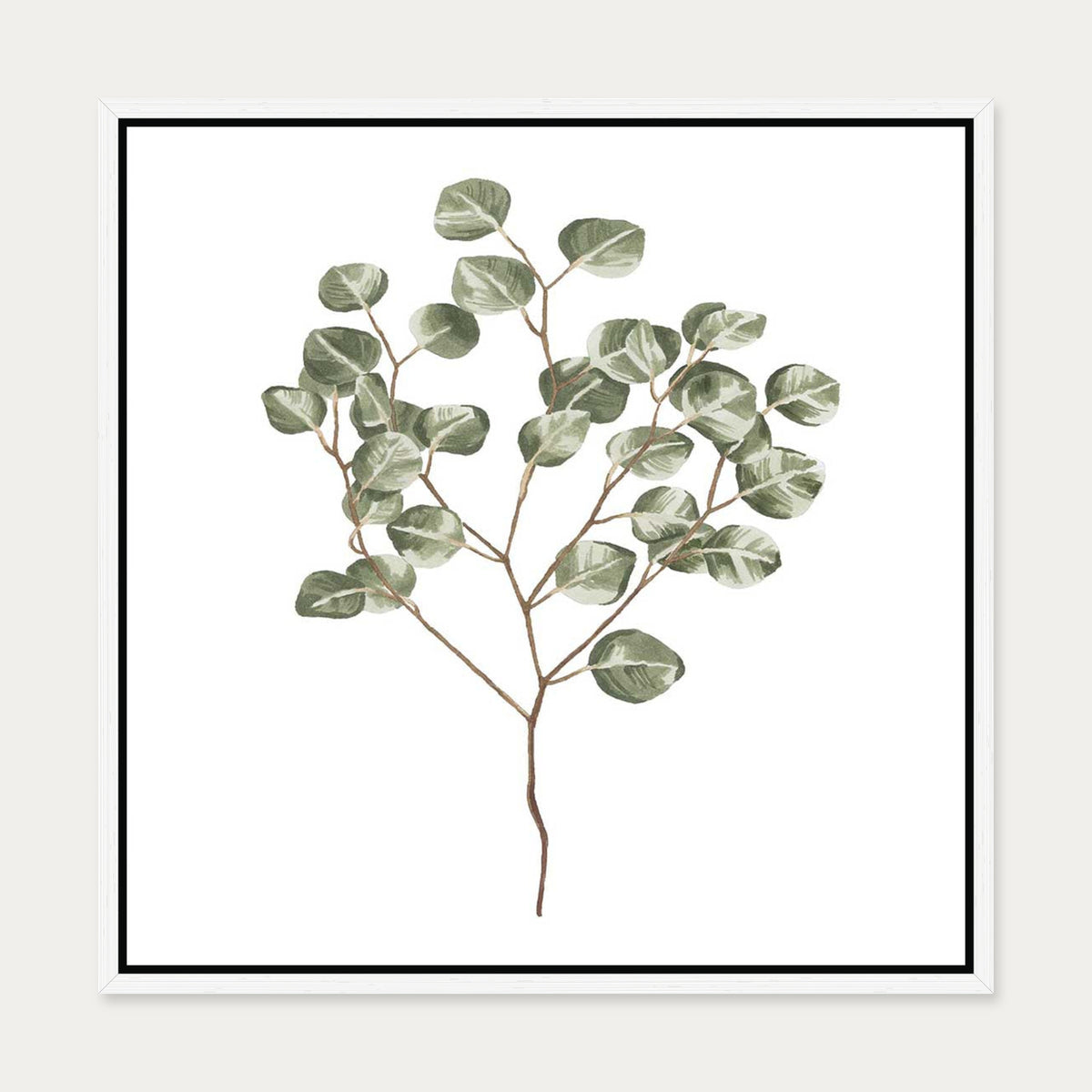 Botanical Branch Square Canvas Art — 50 x 50 cm — White Frame