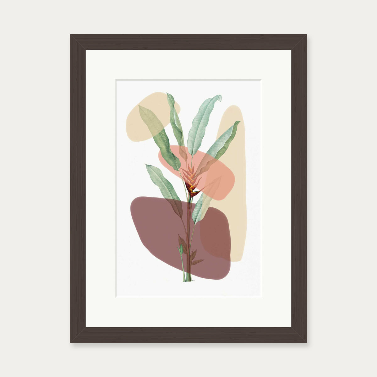 Botanical Illustration With Shapes Art Print — 30 x 40 cm — Brown Frame