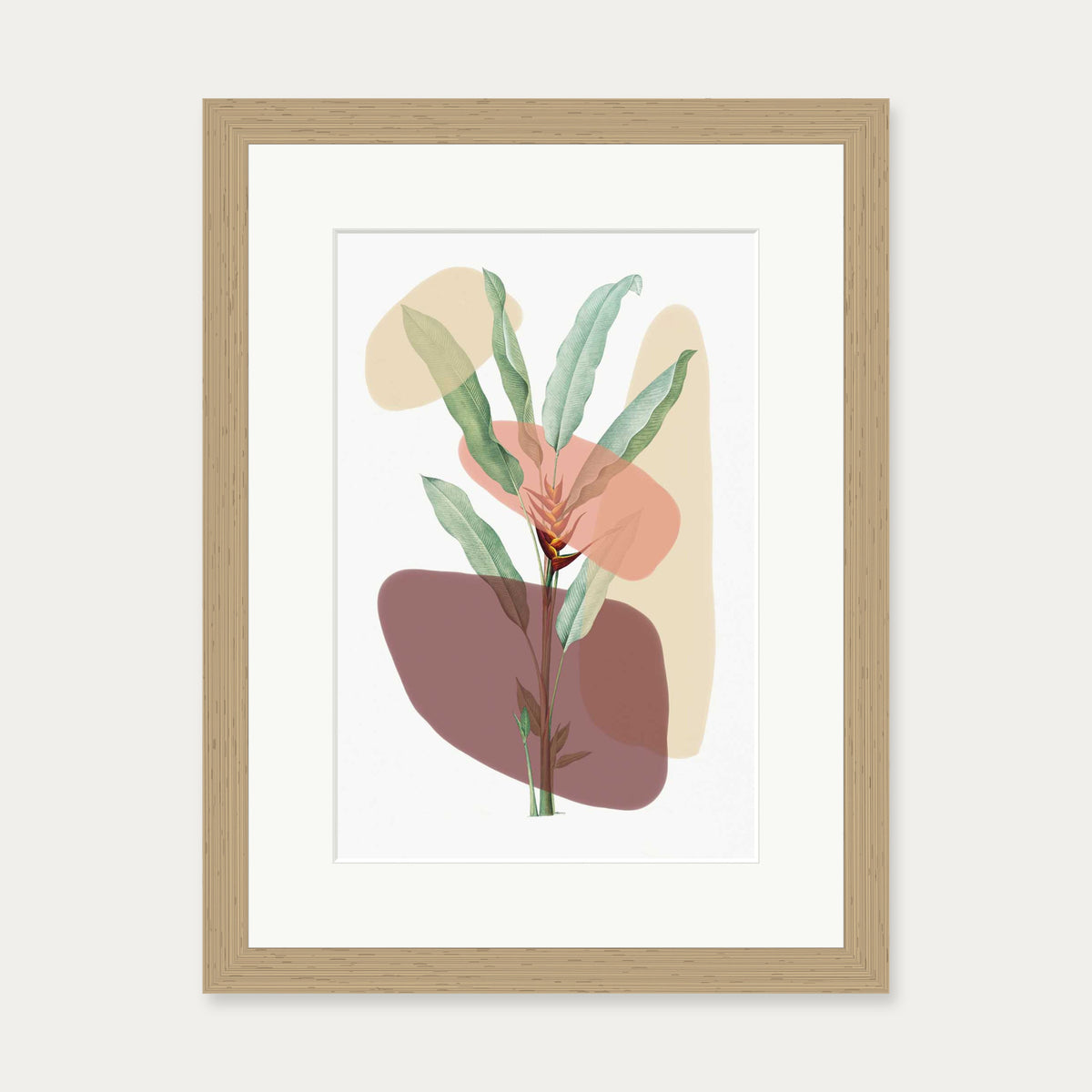 Botanical Illustration With Shapes Art Print — 30 x 40 cm — Oak Frame
