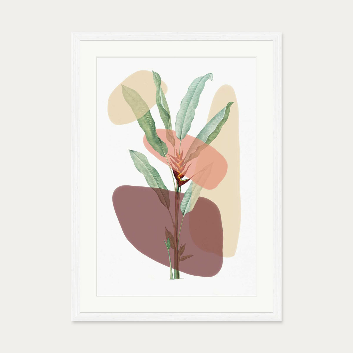 Botanical Illustration With Shapes Art Print — 50 x 70 cm — White Frame