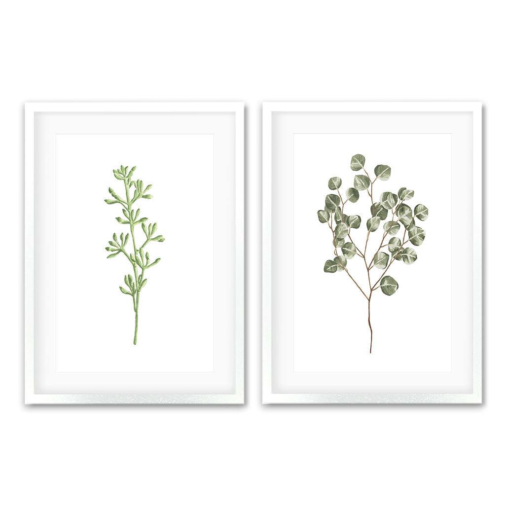Botanical Pair - Print Set Of 2