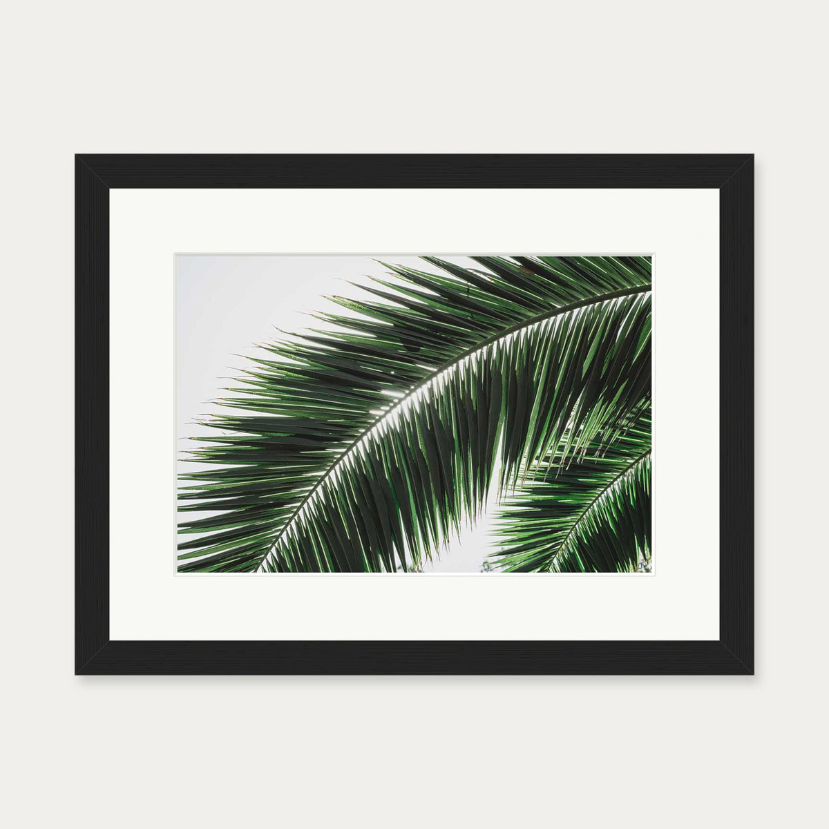 Botanical Palm Wall Art Print — 30 x 40 cm — Black Frame