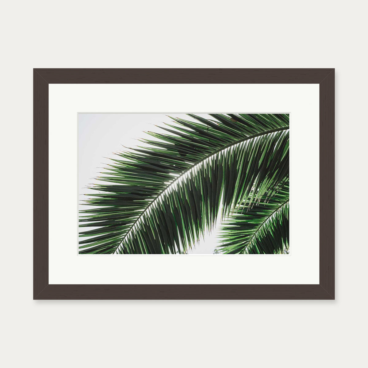 Botanical Palm Wall Art Print — 30 x 40 cm — Brown Frame