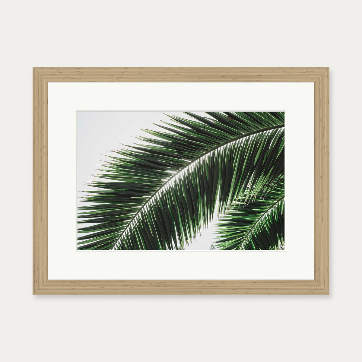 Botanical Palm Wall Art Print — 30 x 40 cm — Oak Frame