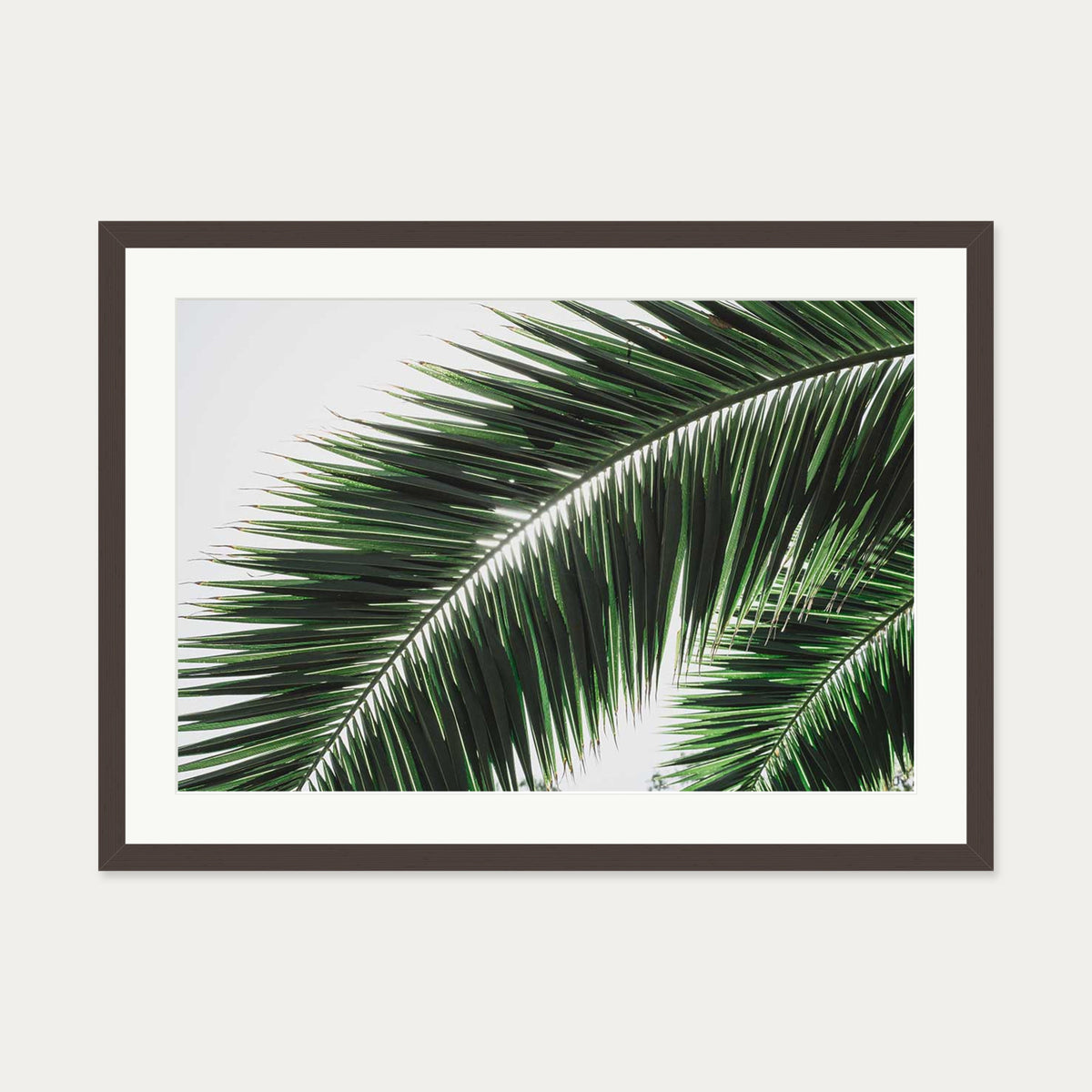 Botanical Palm Wall Art Print — 50 x 70 cm — Brown Frame