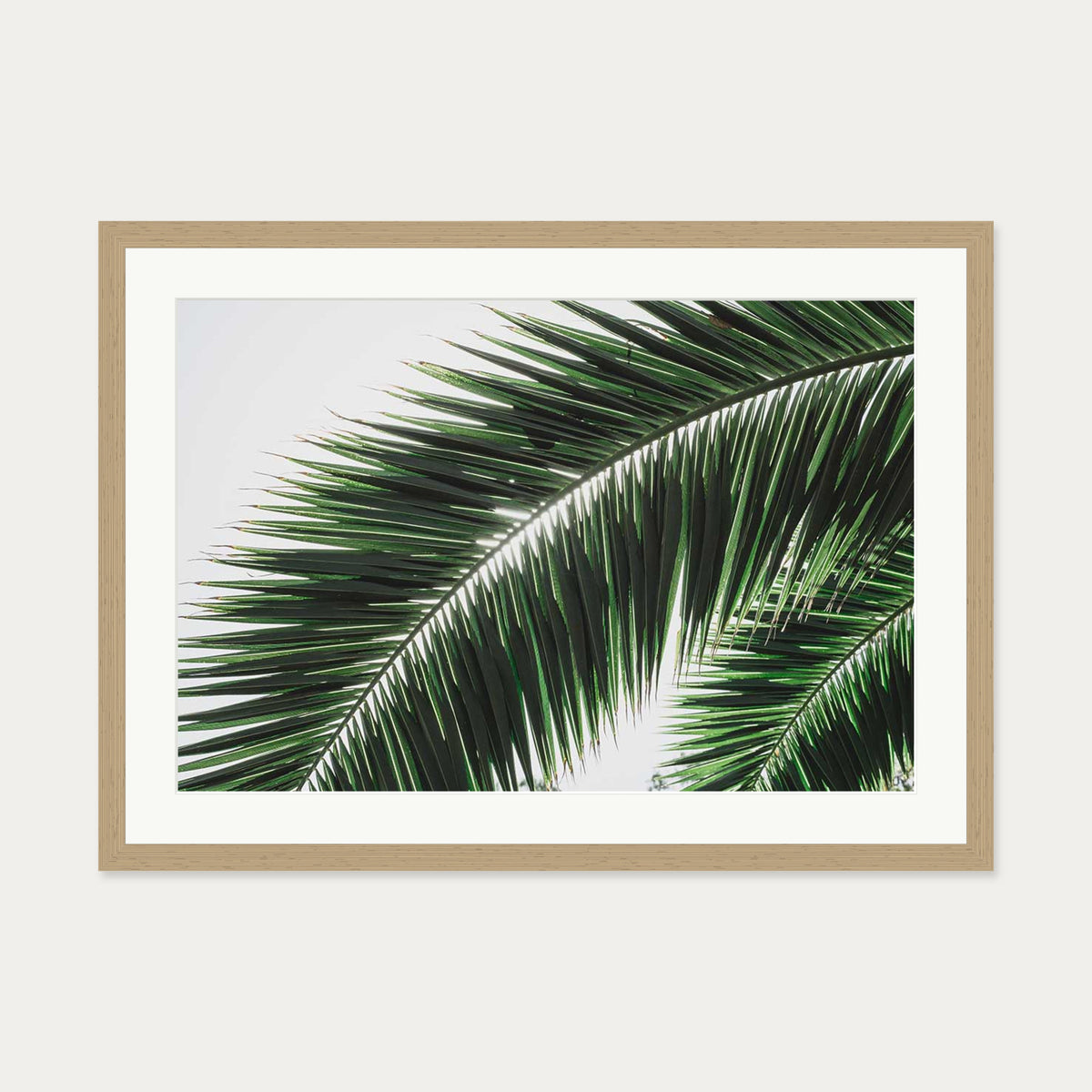 Botanical Palm Wall Art Print — 50 x 70 cm — Oak Frame