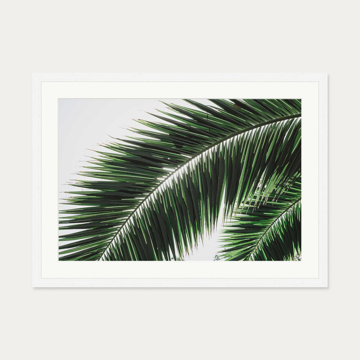 Botanical Palm Wall Art Print — 50 x 70 cm — White Frame