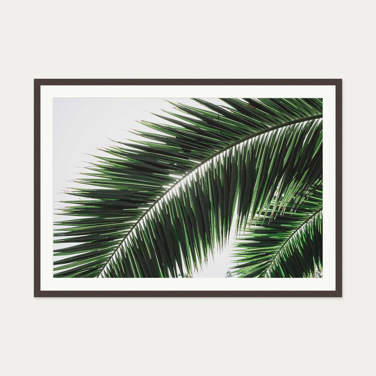Botanical Palm Wall Art Print — 70 x 100 cm — Brown Frame