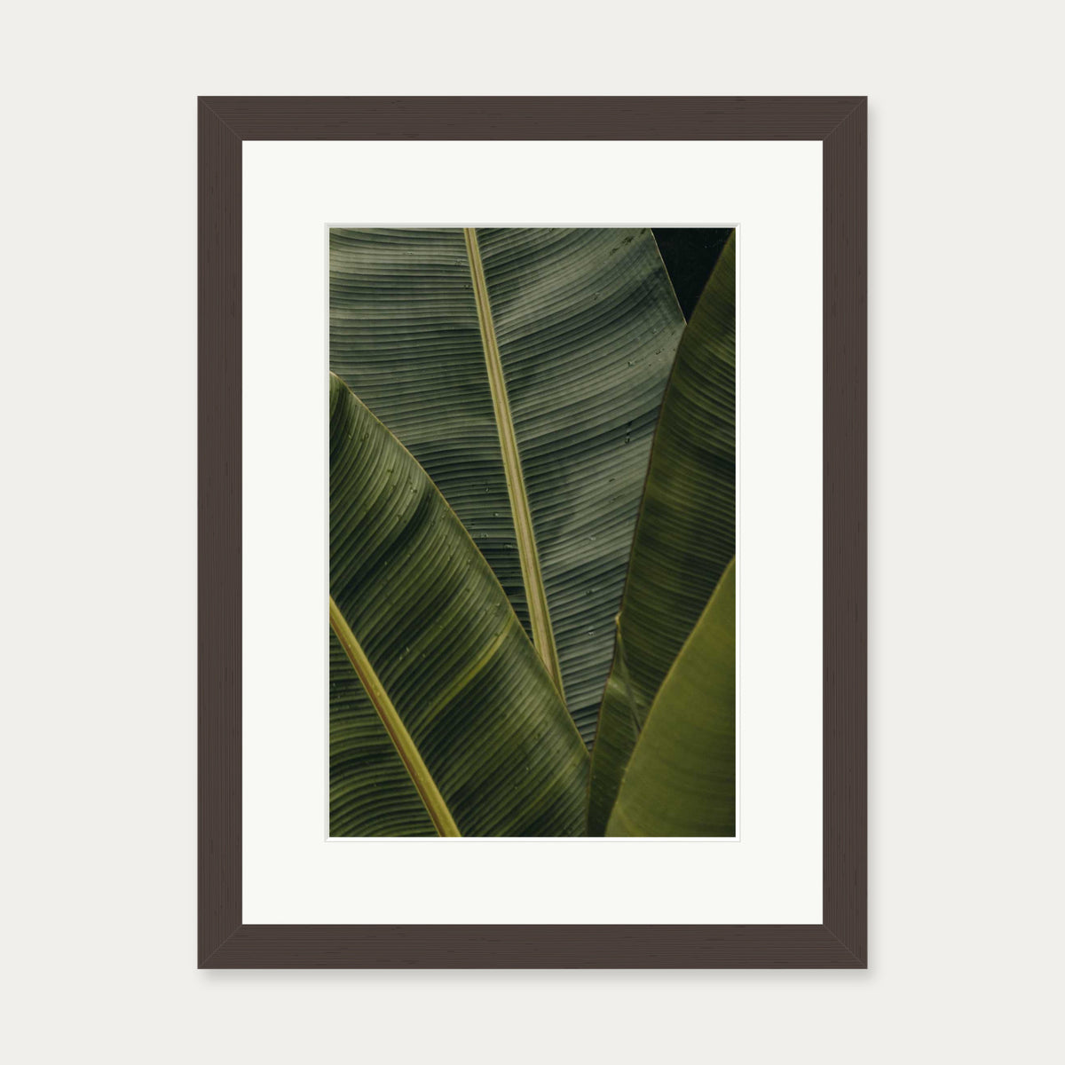 Botanical Portrait Wall Art Print — 30 x 40 cm — Brown Frame