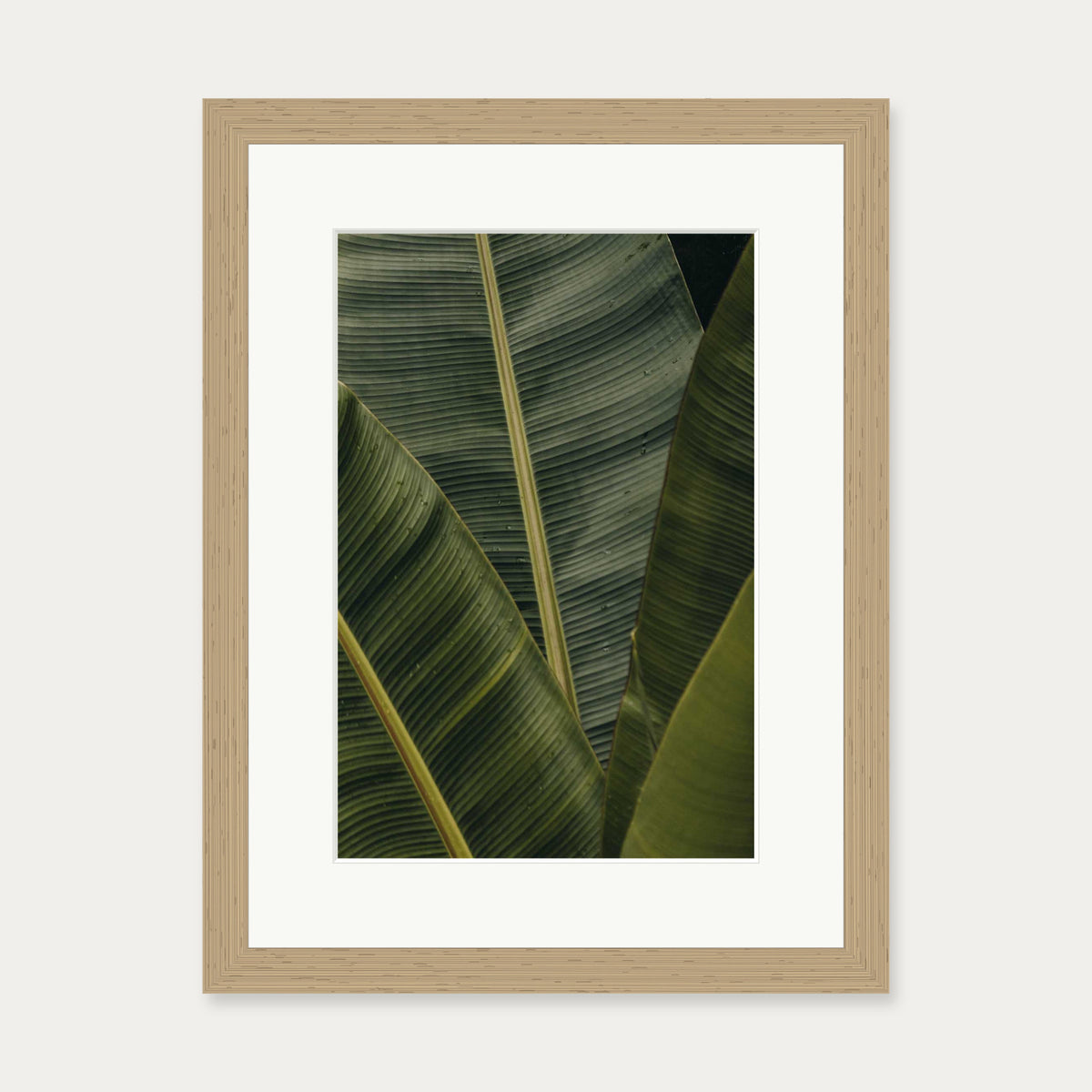 Botanical Portrait Wall Art Print — 30 x 40 cm — Oak Frame