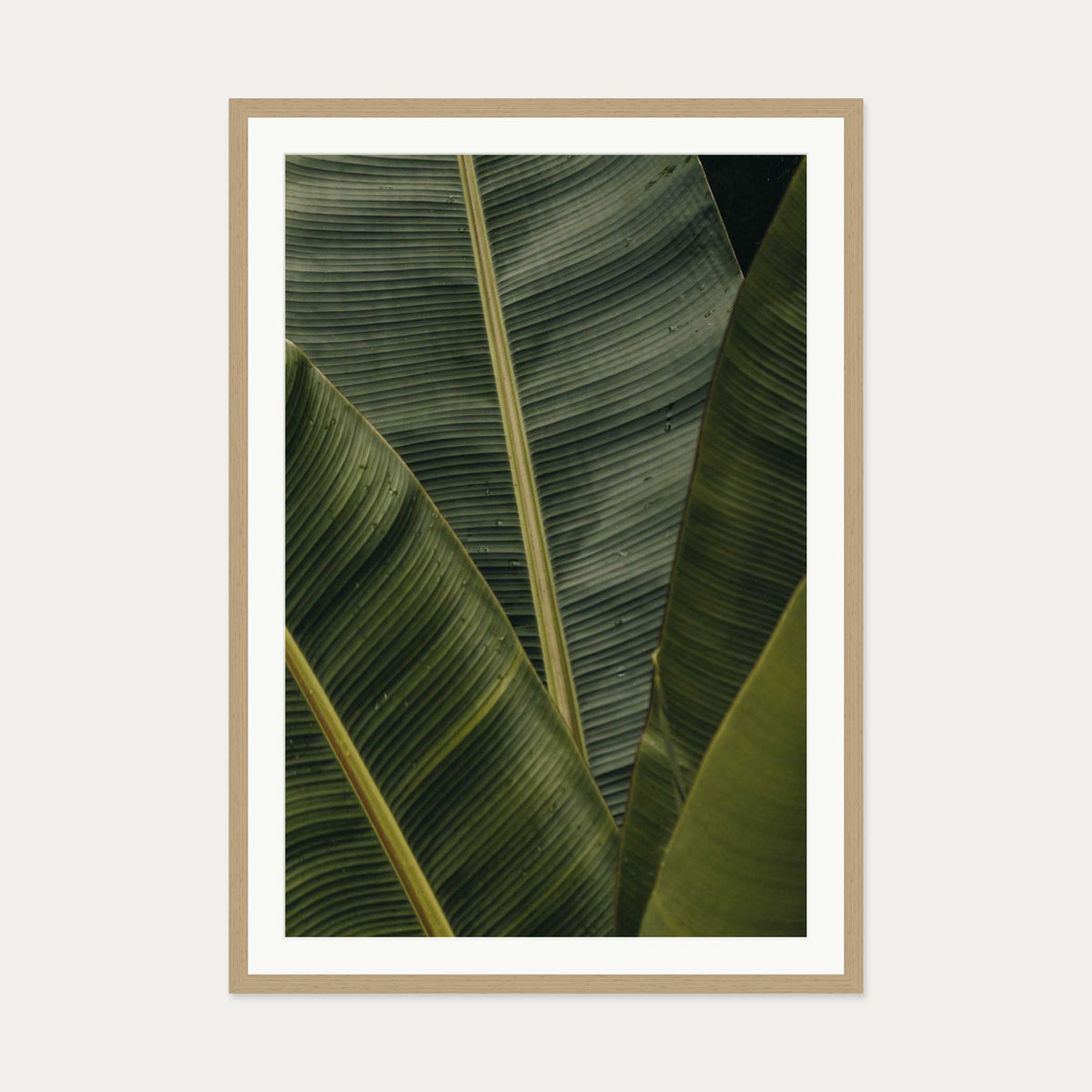 Botanical Portrait Wall Art Print — 70 x 100 cm — Oak Frame